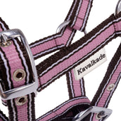 Kavalkade Fohlen- und Jährlingshalfter Rosa