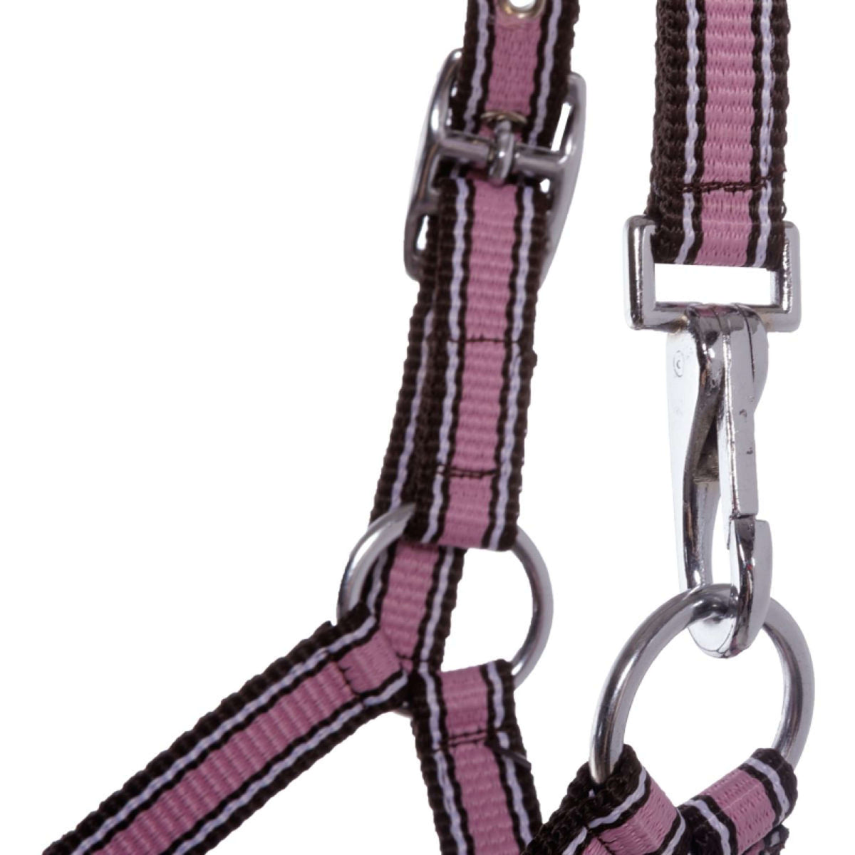 Kavalkade Fohlen- und Jährlingshalfter Rosa