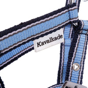 Kavalkade Halfter Foal/Yearling Hellblau/Marineblau/Weiß