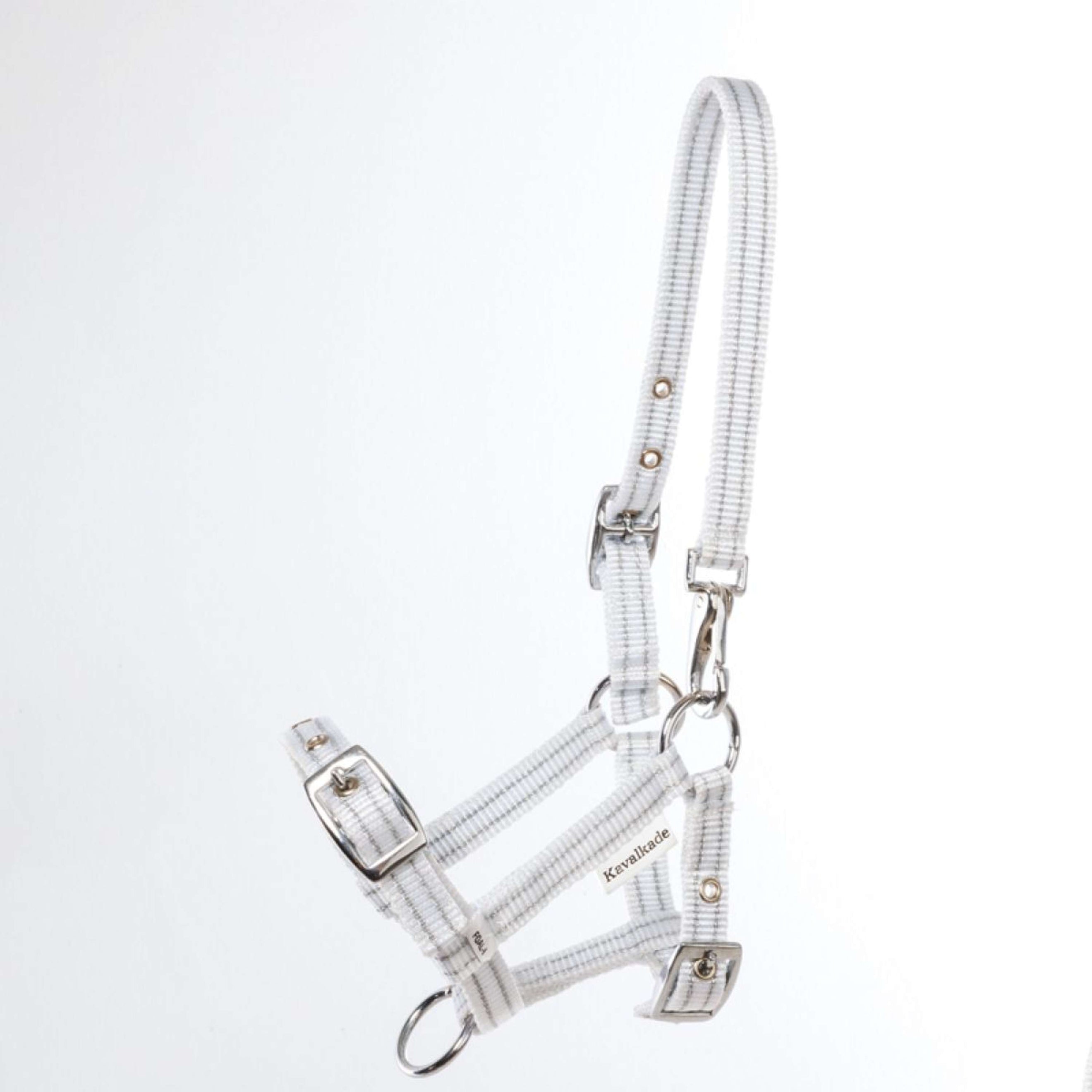 Kavalkade Halfter Foal/Yearling Weiß Silber Kavalkade Halfter Foal/Yearling Weiß Silber