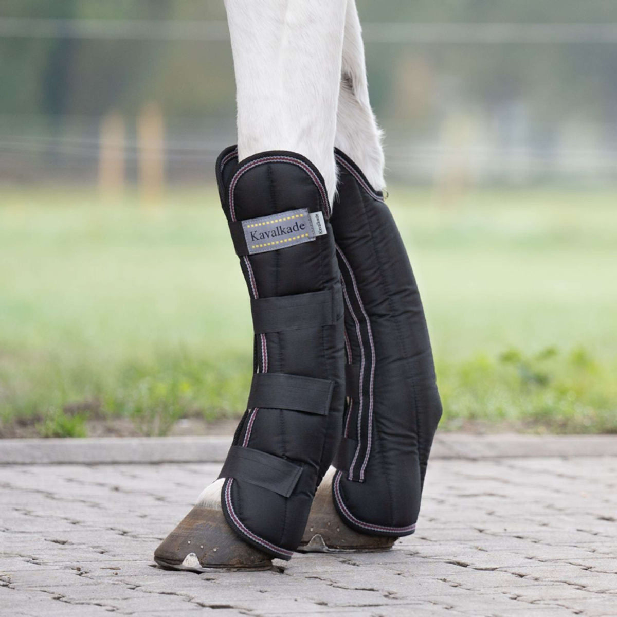 Kavalkade Transportgamaschen Schwarz