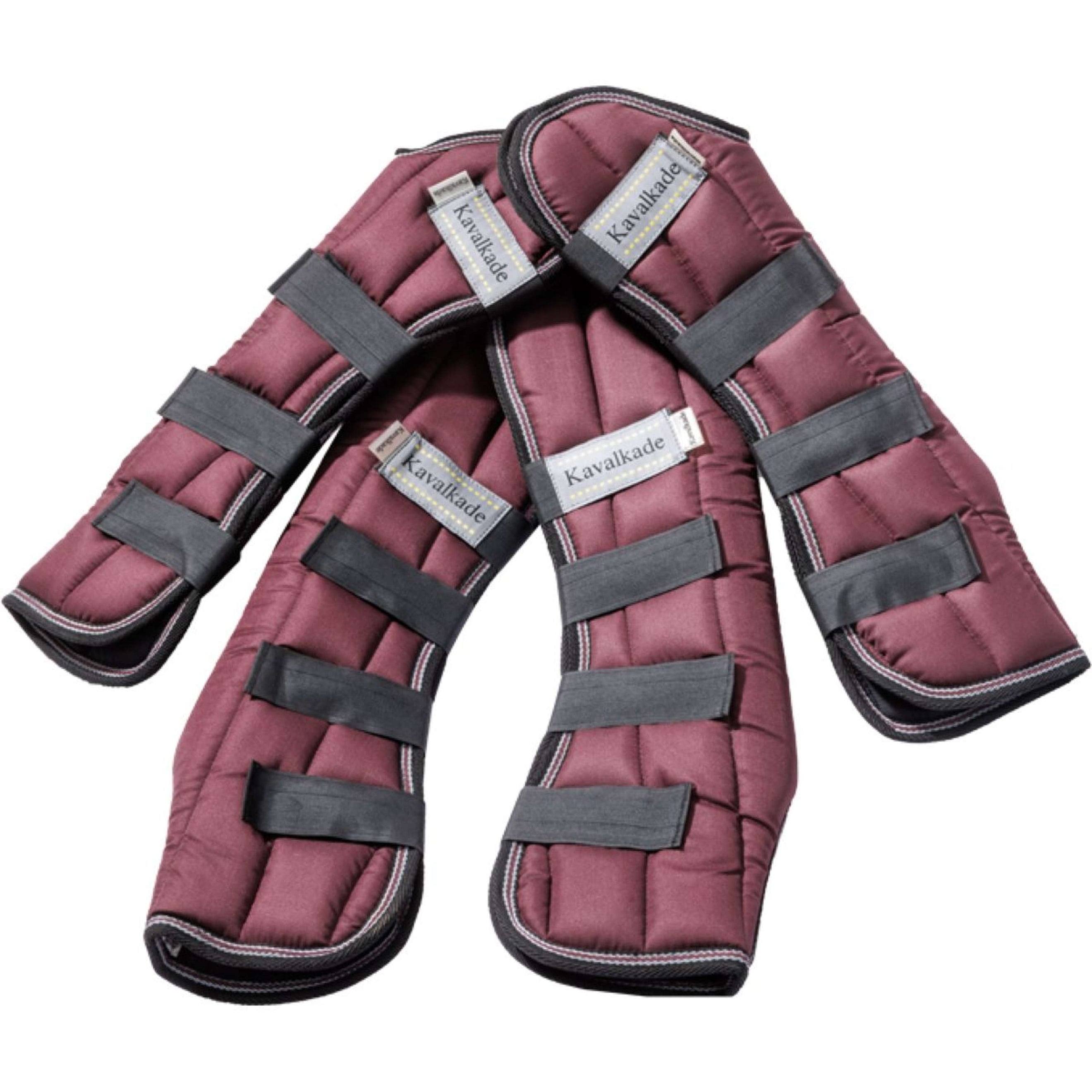 Kavalkade Transportgamaschen Montreal Satz Bordeaux