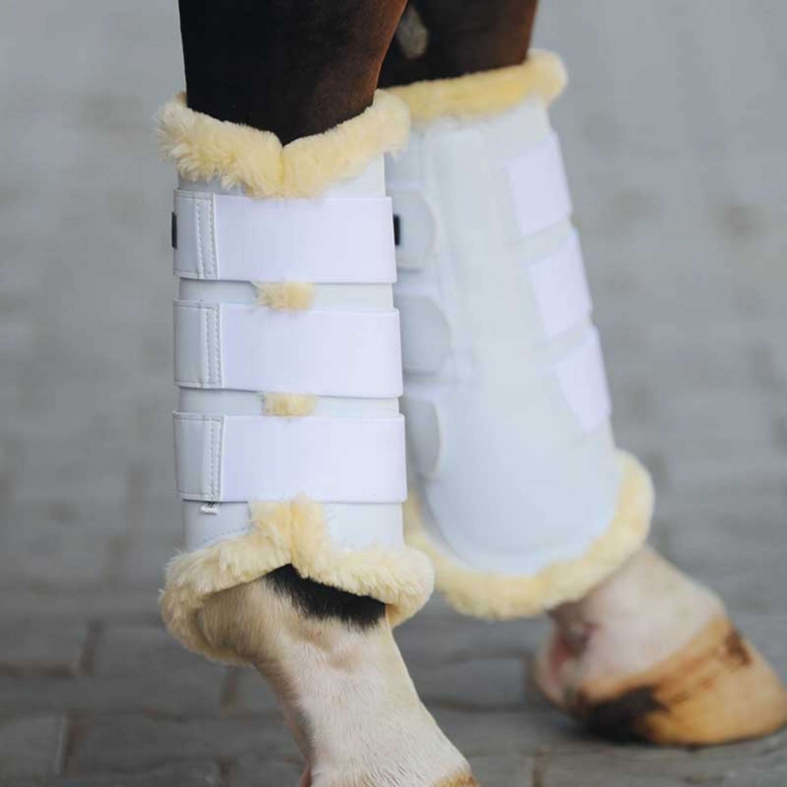 Kavalkade Dressurstiefel Show Kunstleder Schwarz