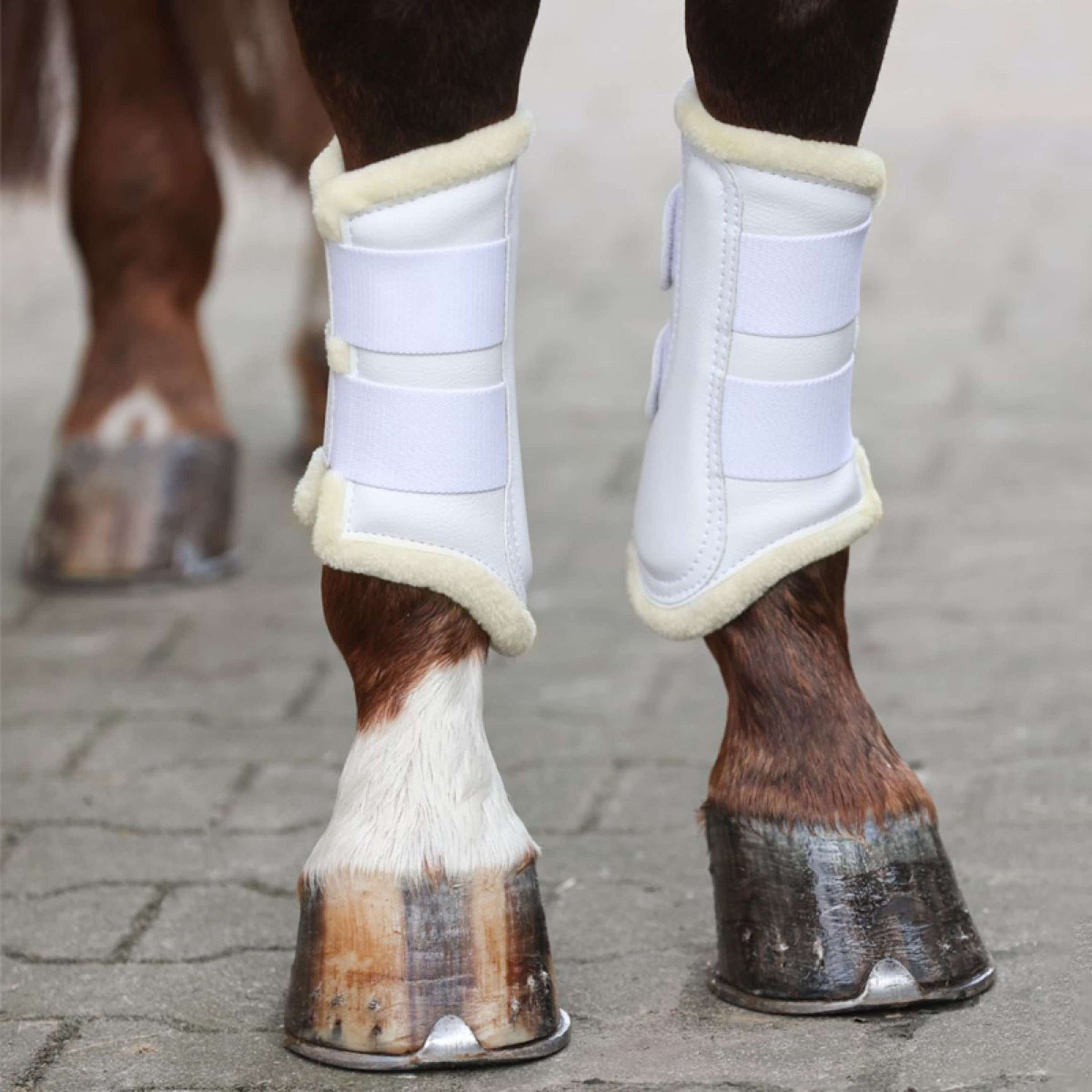 Kavalkade Dressurstiefel mit Kunstfell Weiß Kavalkade Dressurstiefel mit Kunstfell Weiß