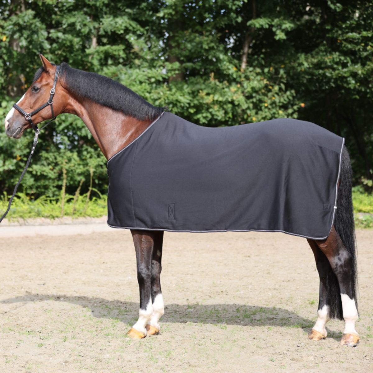 Kavalkade Jersey Fleecedecke Elegance Schwarz