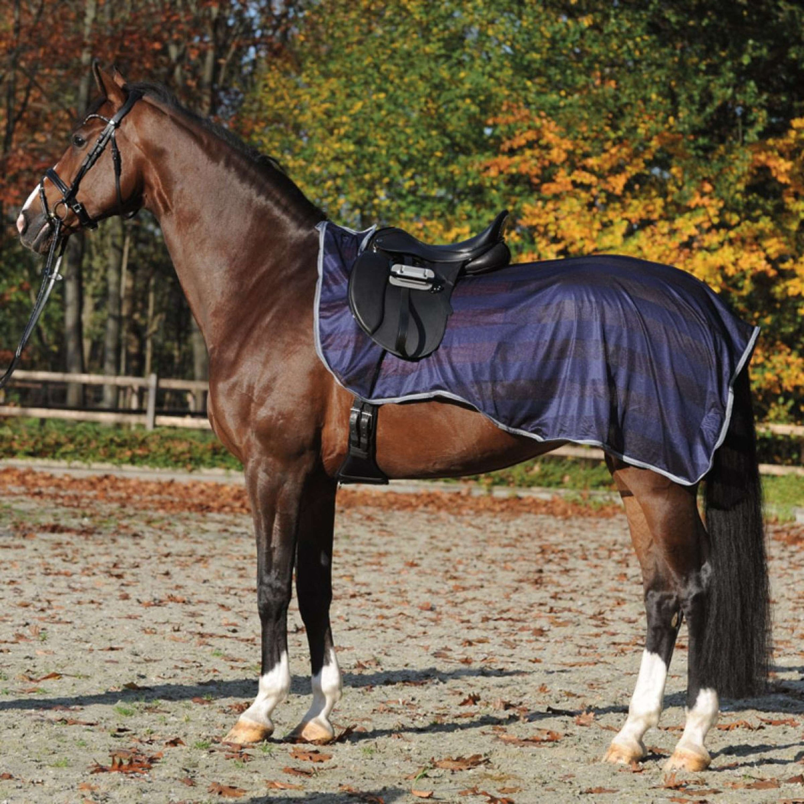Kavalkade Ausreitdecke Fly Marine/Grau Kavalkade Ausreitdecke Fly Marine/Grau