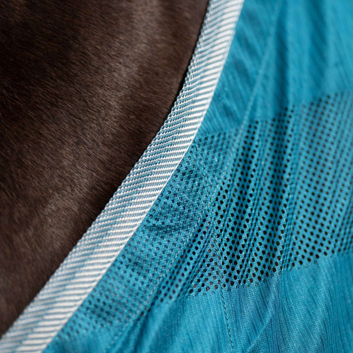 Kavalkade Fliegendecke Stripe Petrol