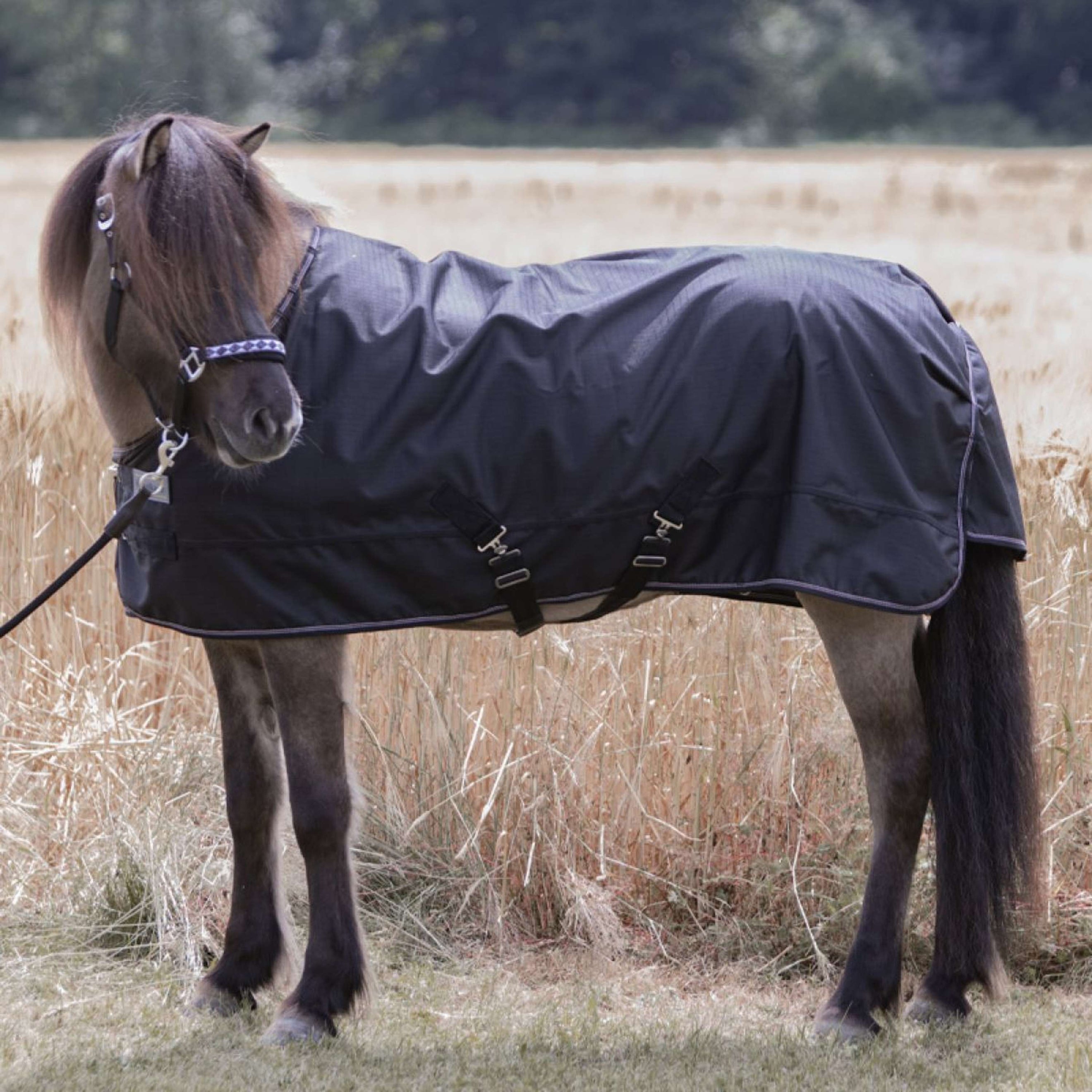 Kavalkade Outdoordecke Iceland 50g Schwarz/Schwarz/Bordeaux/Grau Kavalkade Outdoordecke Iceland 50g Schwarz/Schwarz/Bordeaux/Grau