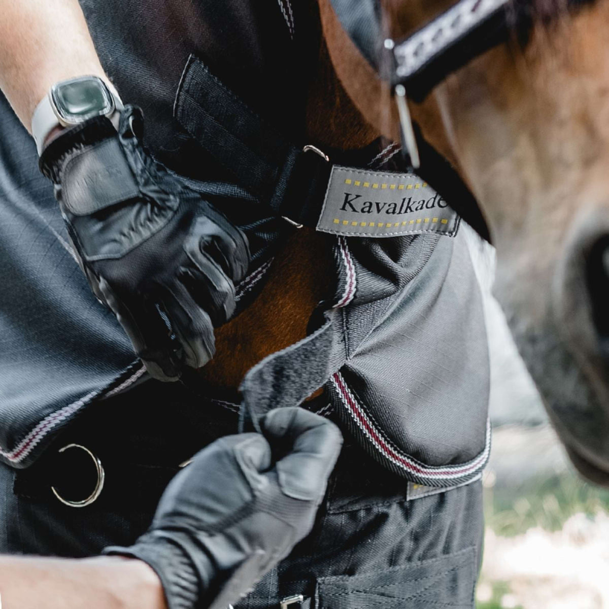 Kavalkade Halsstück Iceland 50g Schwarz/Schwarz/Bordeaux/Grau