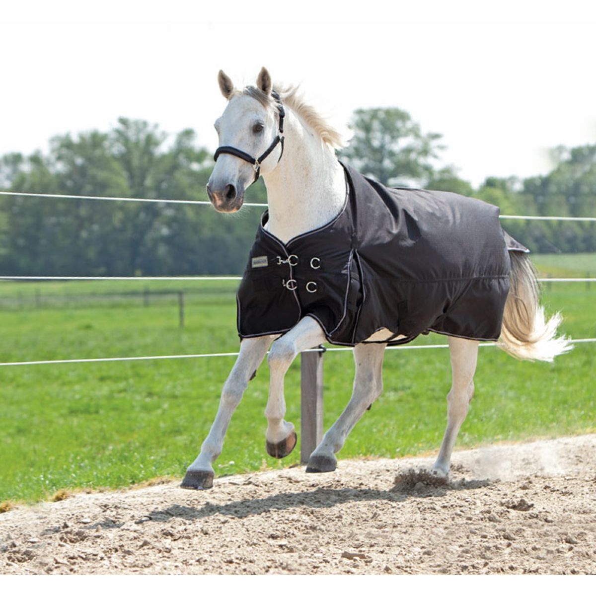 Kavalkade Outdoordecke Alaska IV 300g Schwarz