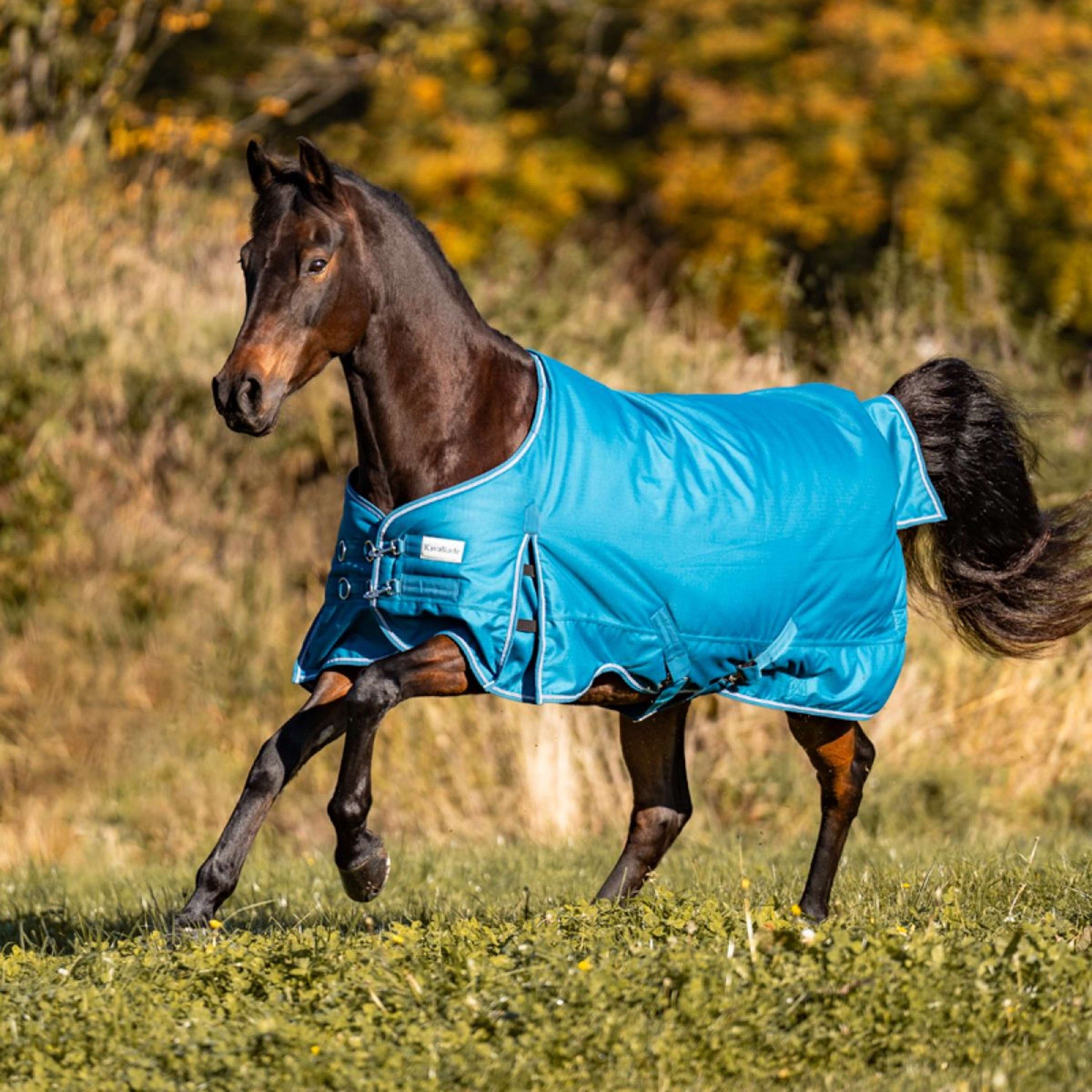 Kavalkade Outdoordecke Alaska IV Fleece 0g Petrol/Petrol/Bordeaux/Weiß