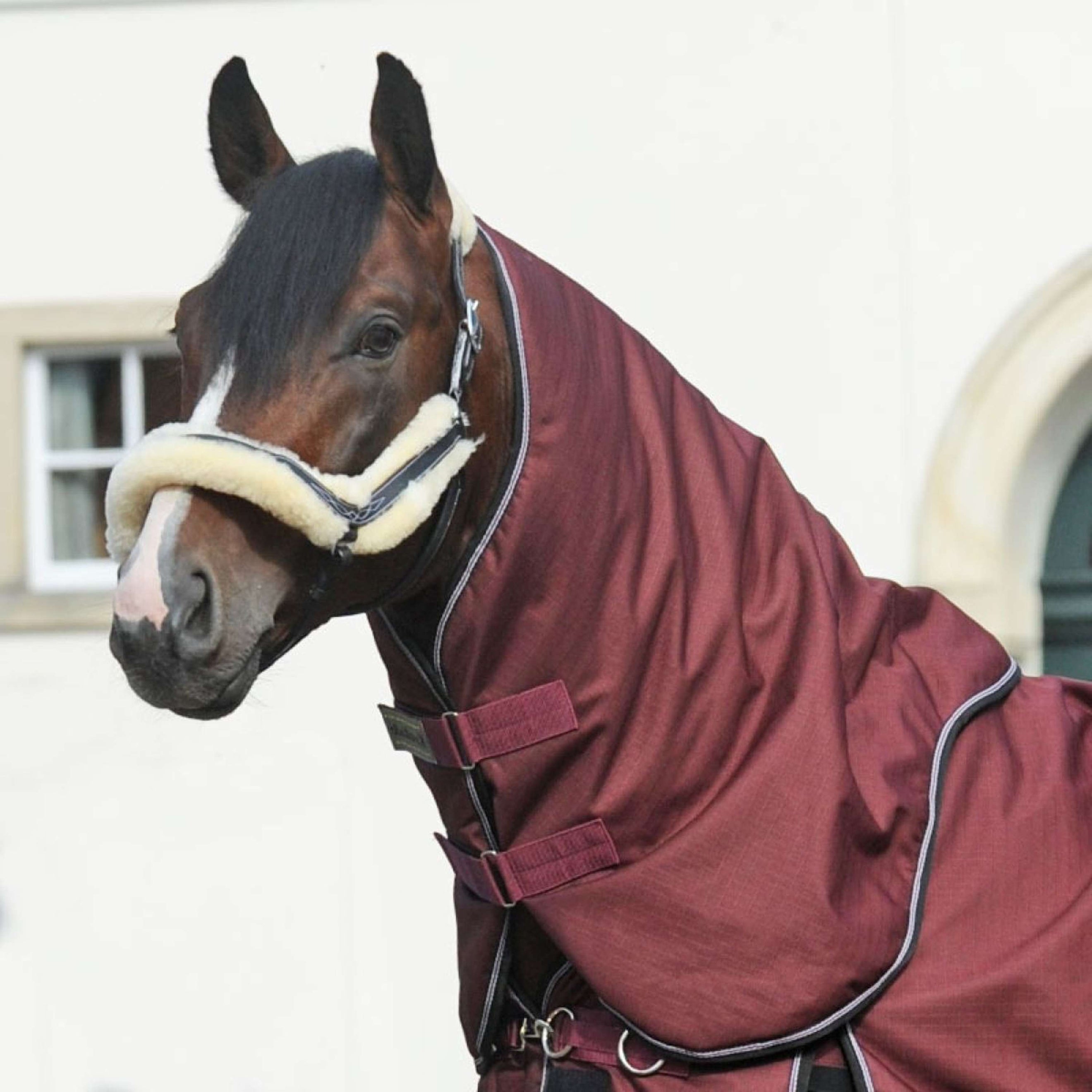 Kavalkade Halsstück Alaska IV 100g Bordeaux Kavalkade Halsstück Alaska IV 100g Bordeaux