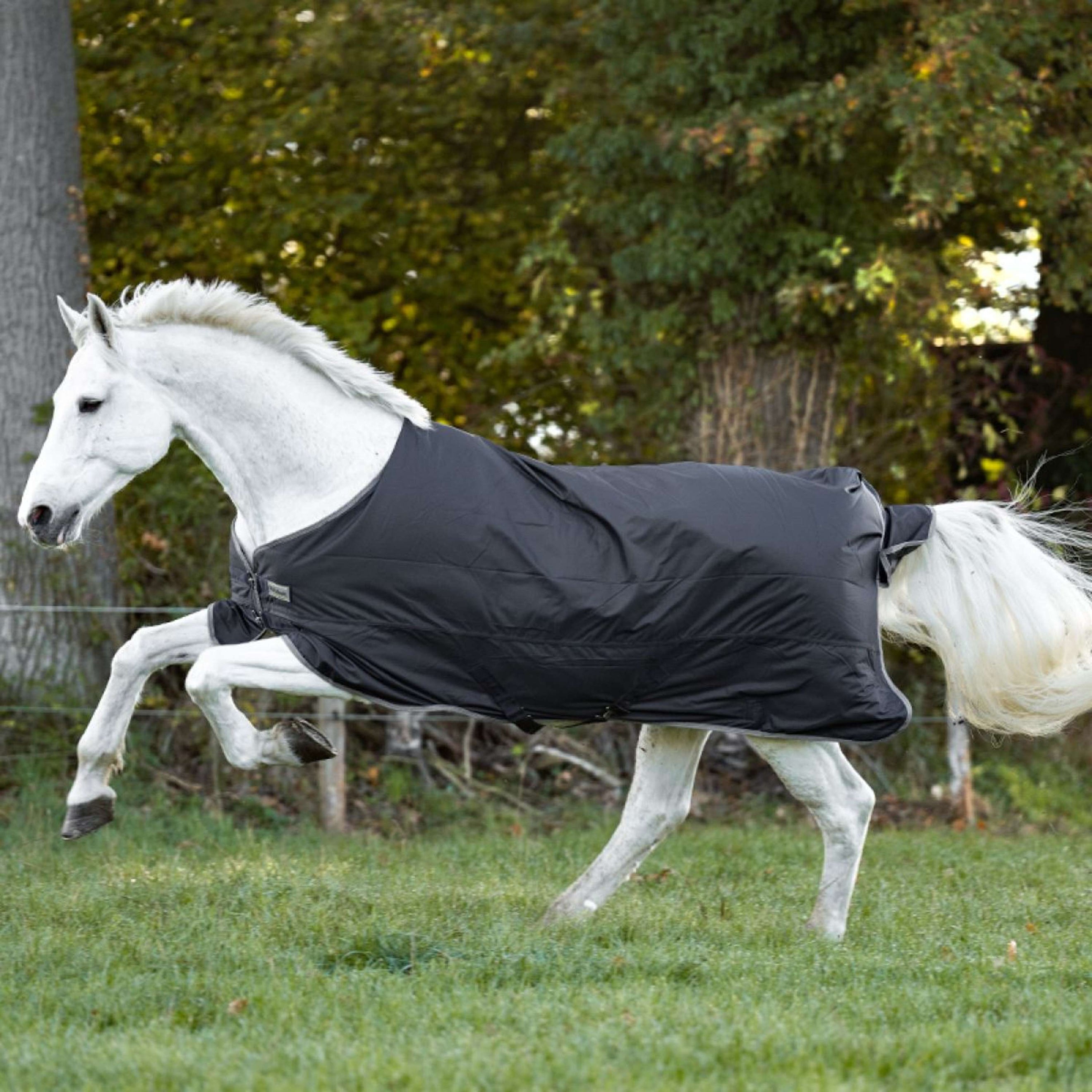 Kavalkade Outdoordecke Winnipeg 50g Schwarz Kavalkade Outdoordecke Winnipeg 50g Schwarz