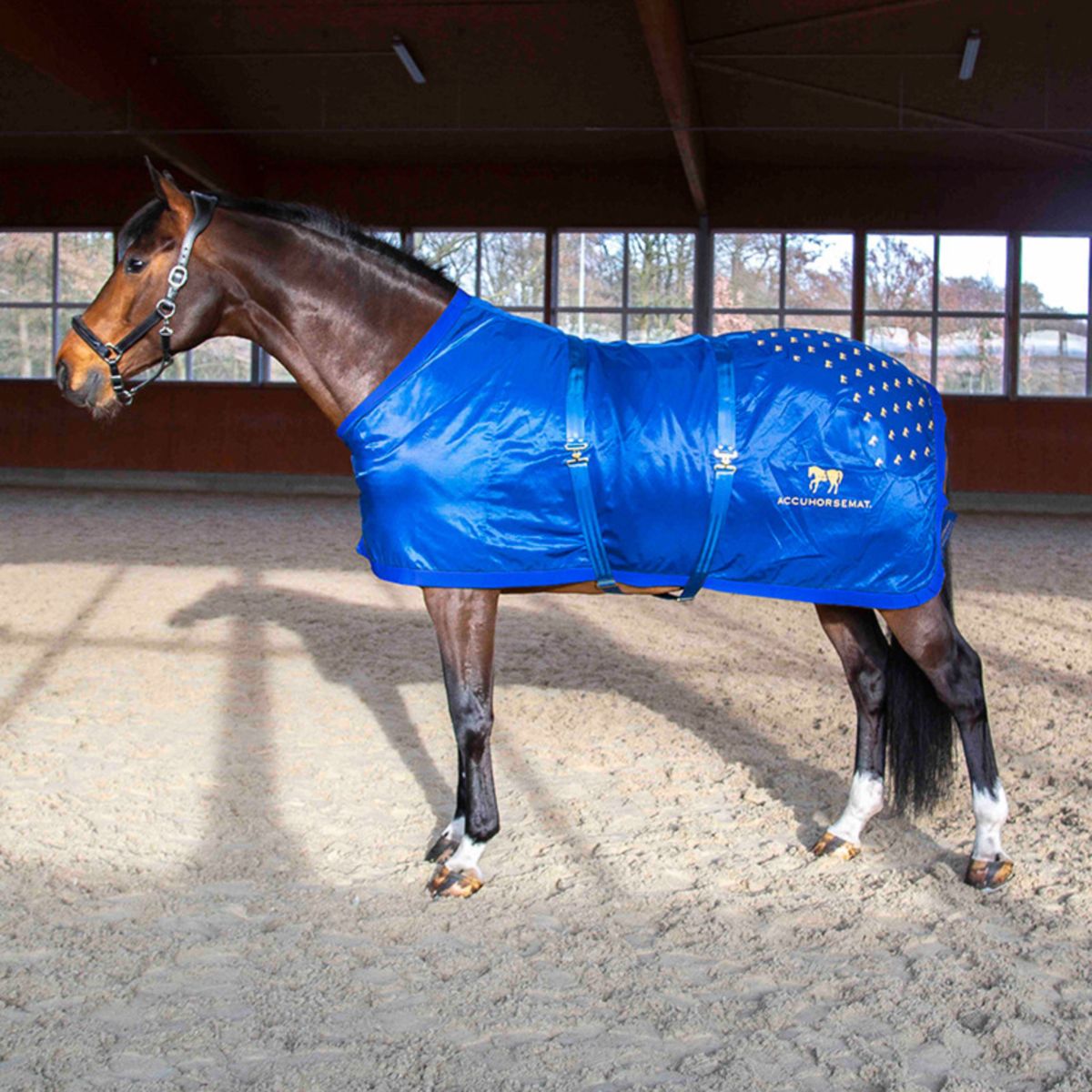 Accuhorsemat Blanket Original ohne Accupressure Mat Blau