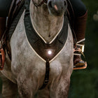 Kavalkade Brustgeschirr Horselight Schwarz/Grau