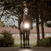 Kavalkade Vorderzeug/Sattel Horselight Schwarz/Grau