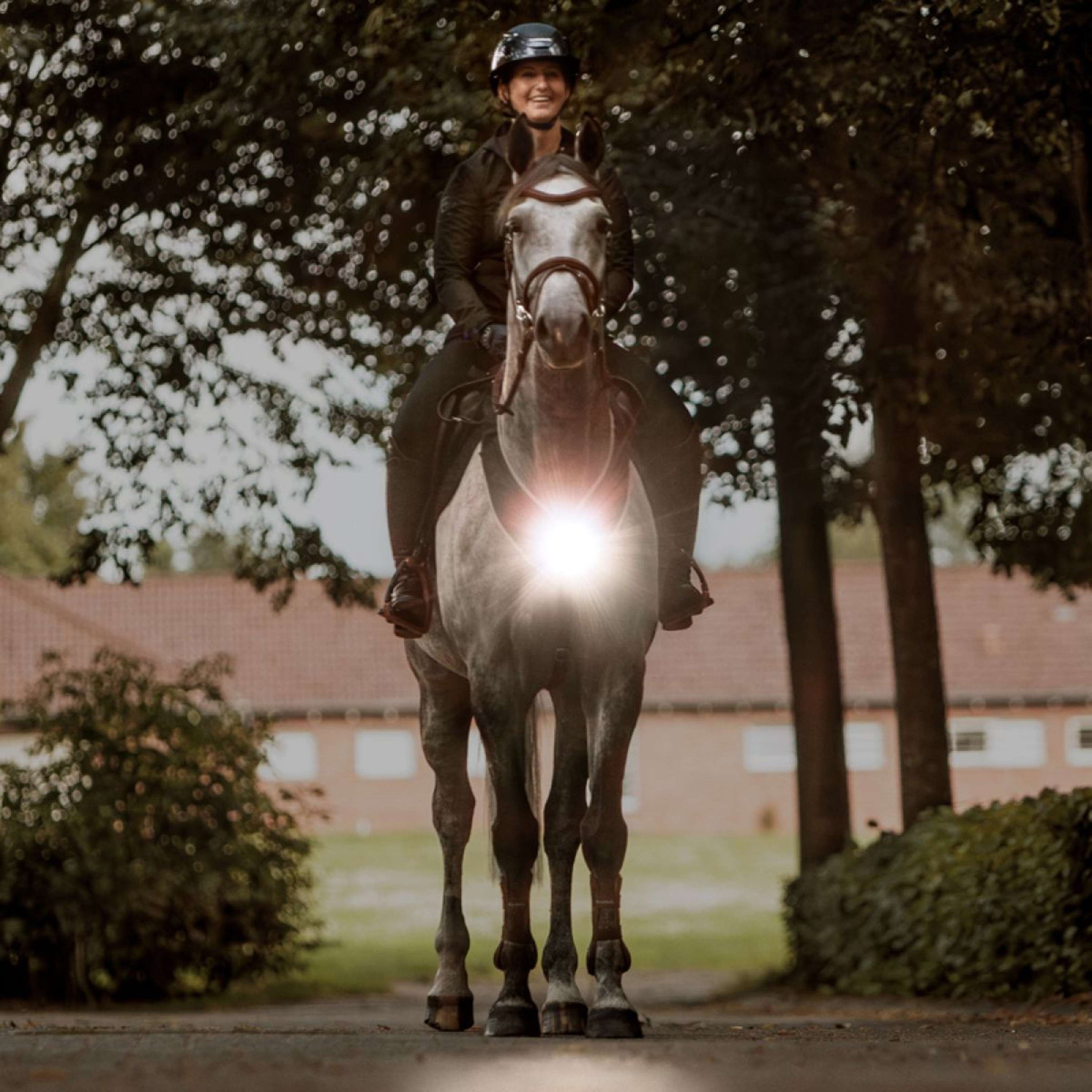 Kavalkade Vorderzeug/Sattel Horselight Schwarz/Grau