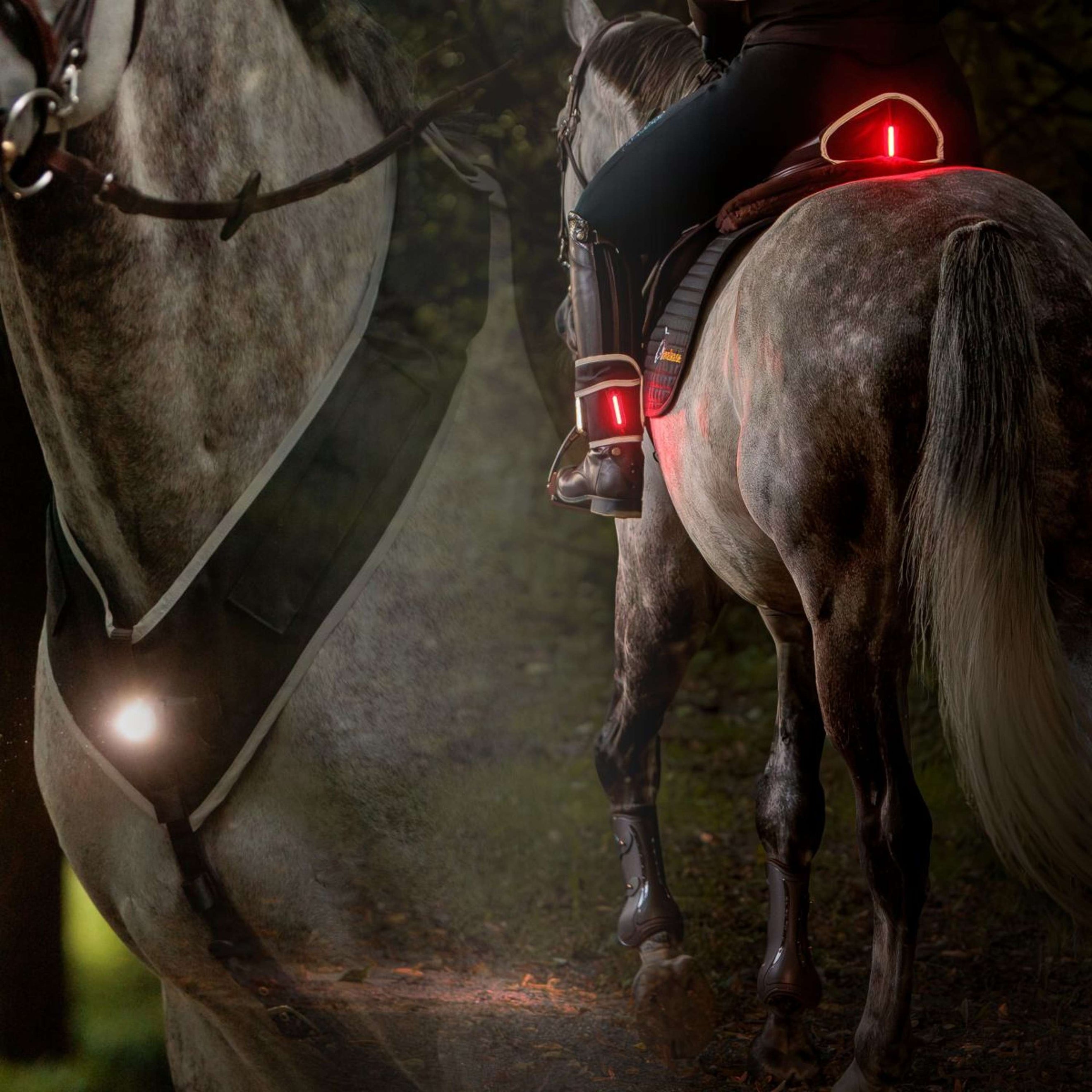 Kavalkade Vorderzeug/Sattel/Bein Horselight Schwarz/Grau