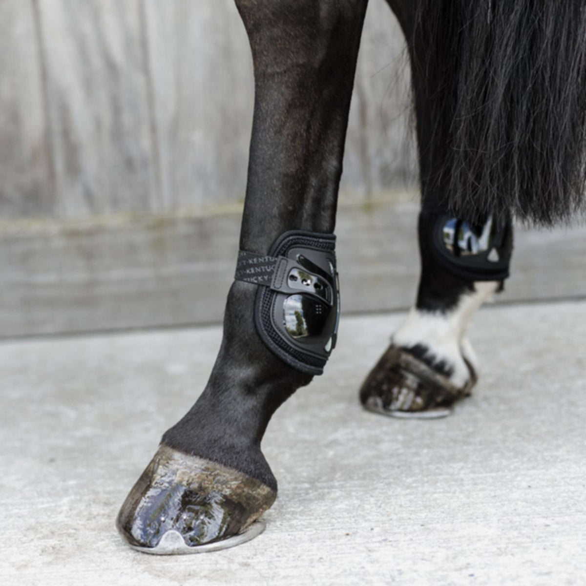 Kentucky Horsewear Kugelschützer Moonboots Air Schwarz