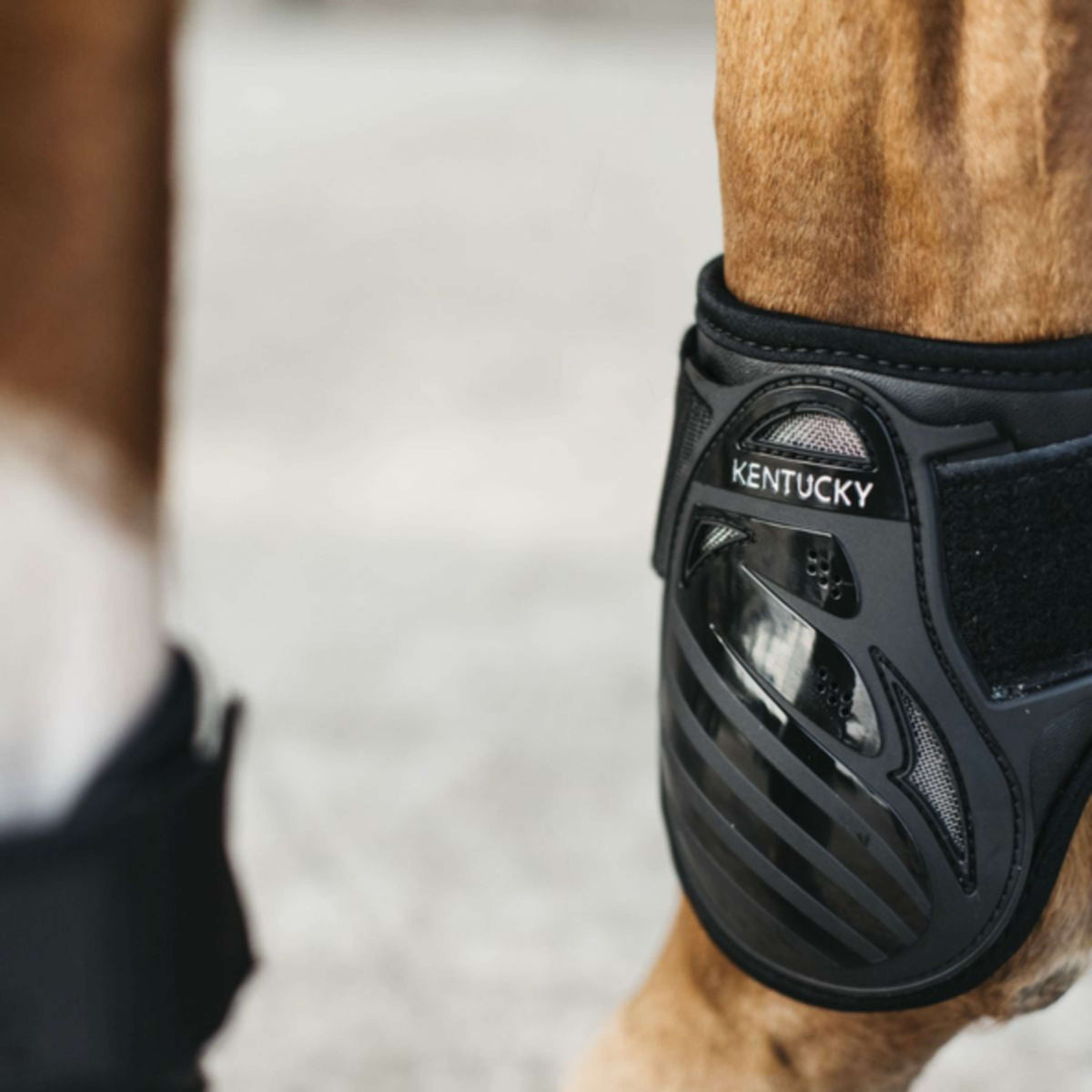 Kentucky Horsewear Streichkappen Young Horse Schwarz