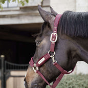 Kentucky Halfter Velvet Bordeaux