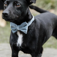 Kentucky Bow Tie Velvet Hellblau