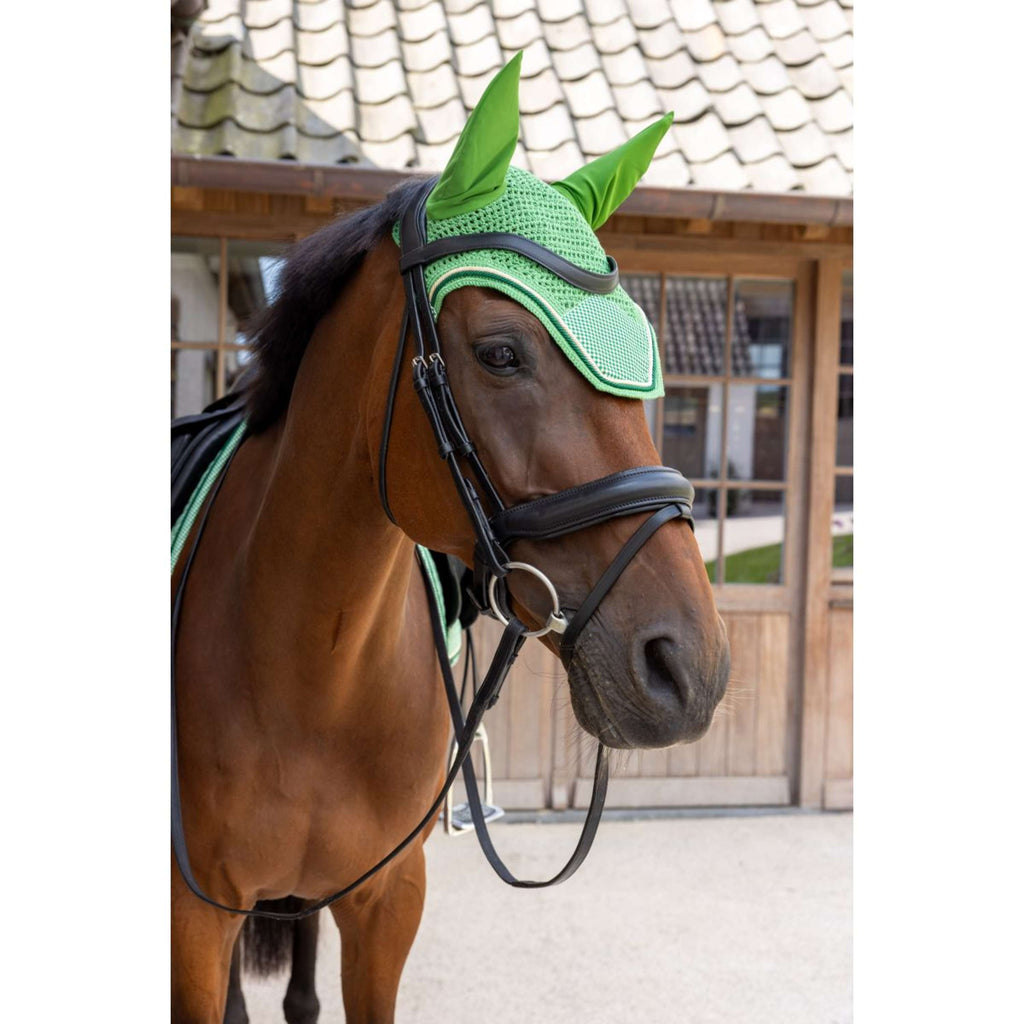 Kentucky Fliegenhaube Wellington Velvet Chess Grün