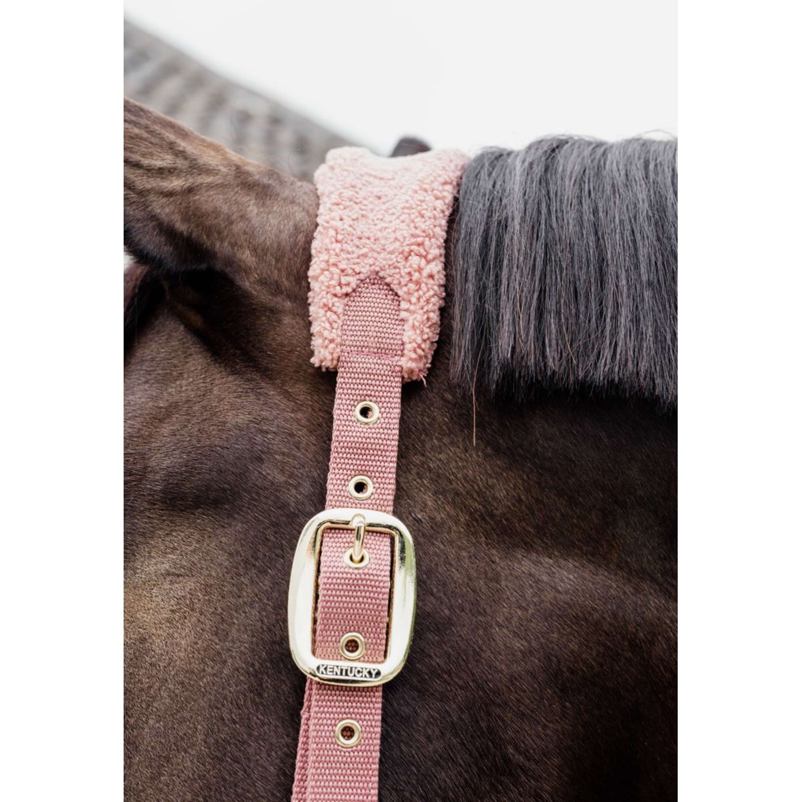Kentucky Halfter Teddy Fleece Altrosa Kentucky Halfter Teddy Fleece Altrosa