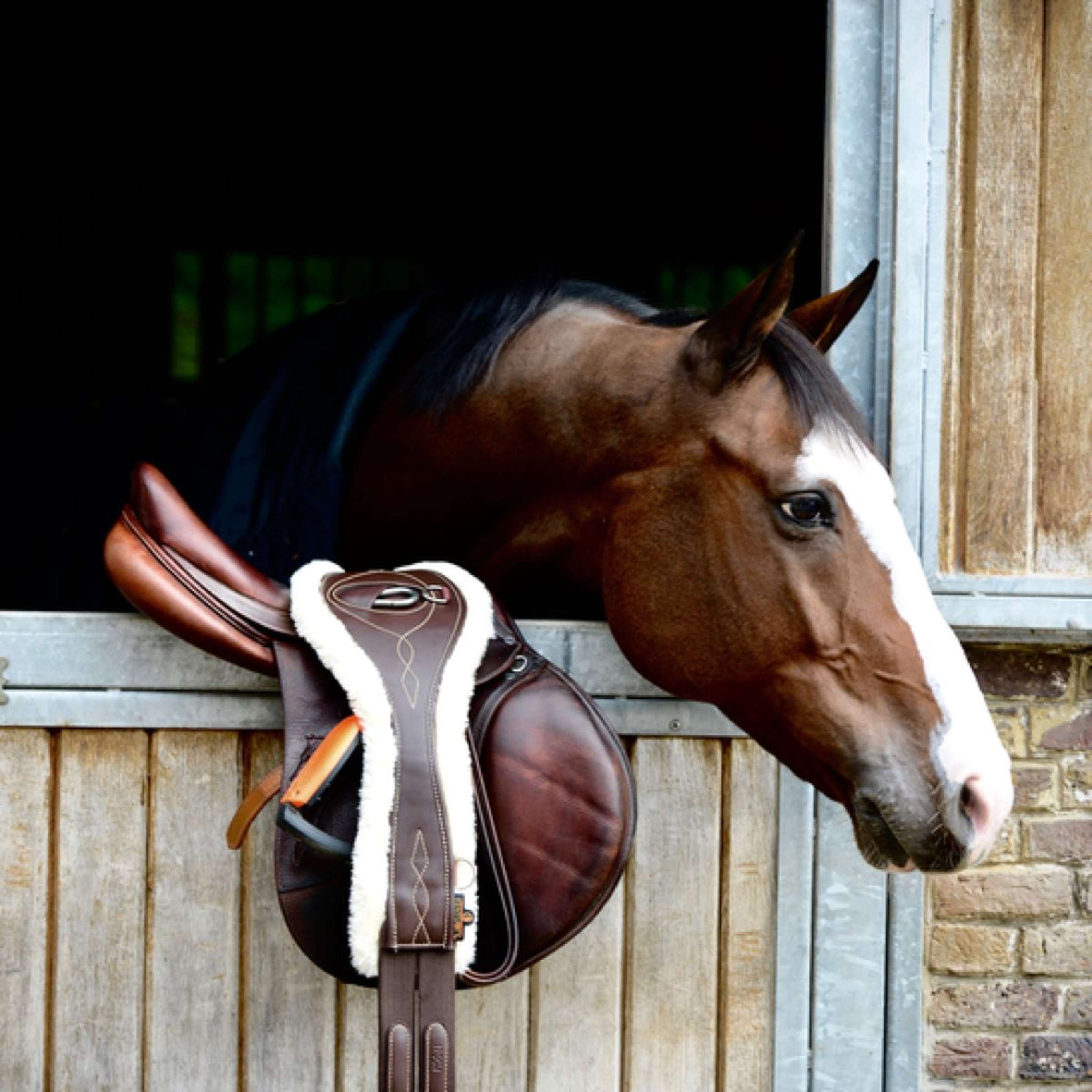 Kentucky Spring Sattelgurt Sheepskin Anatomic Braun Kentucky Spring Sattelgurt Sheepskin Anatomic Braun