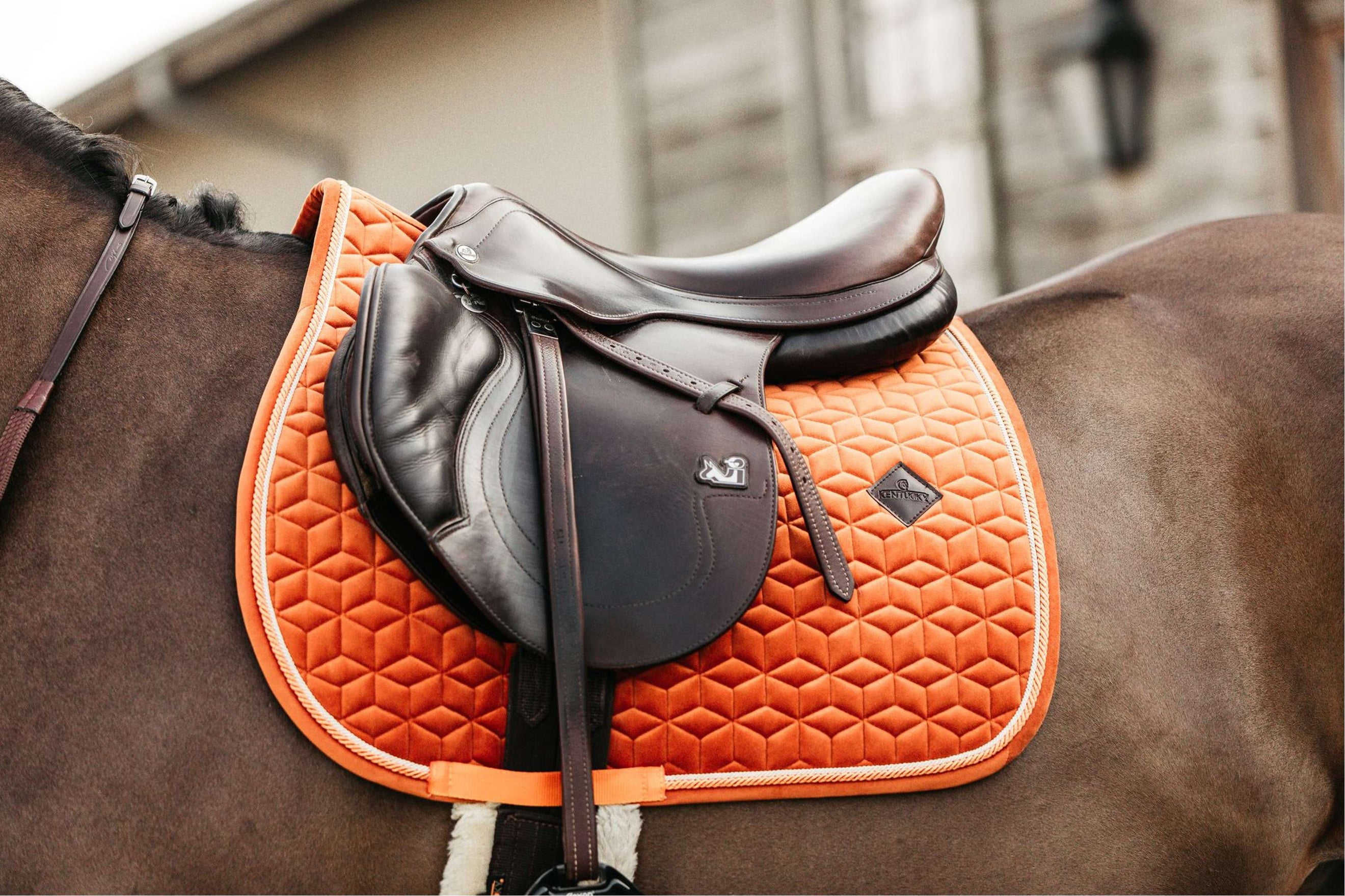 Kentucky Schabracke Velvet Orange Kentucky Schabracke Velvet Orange