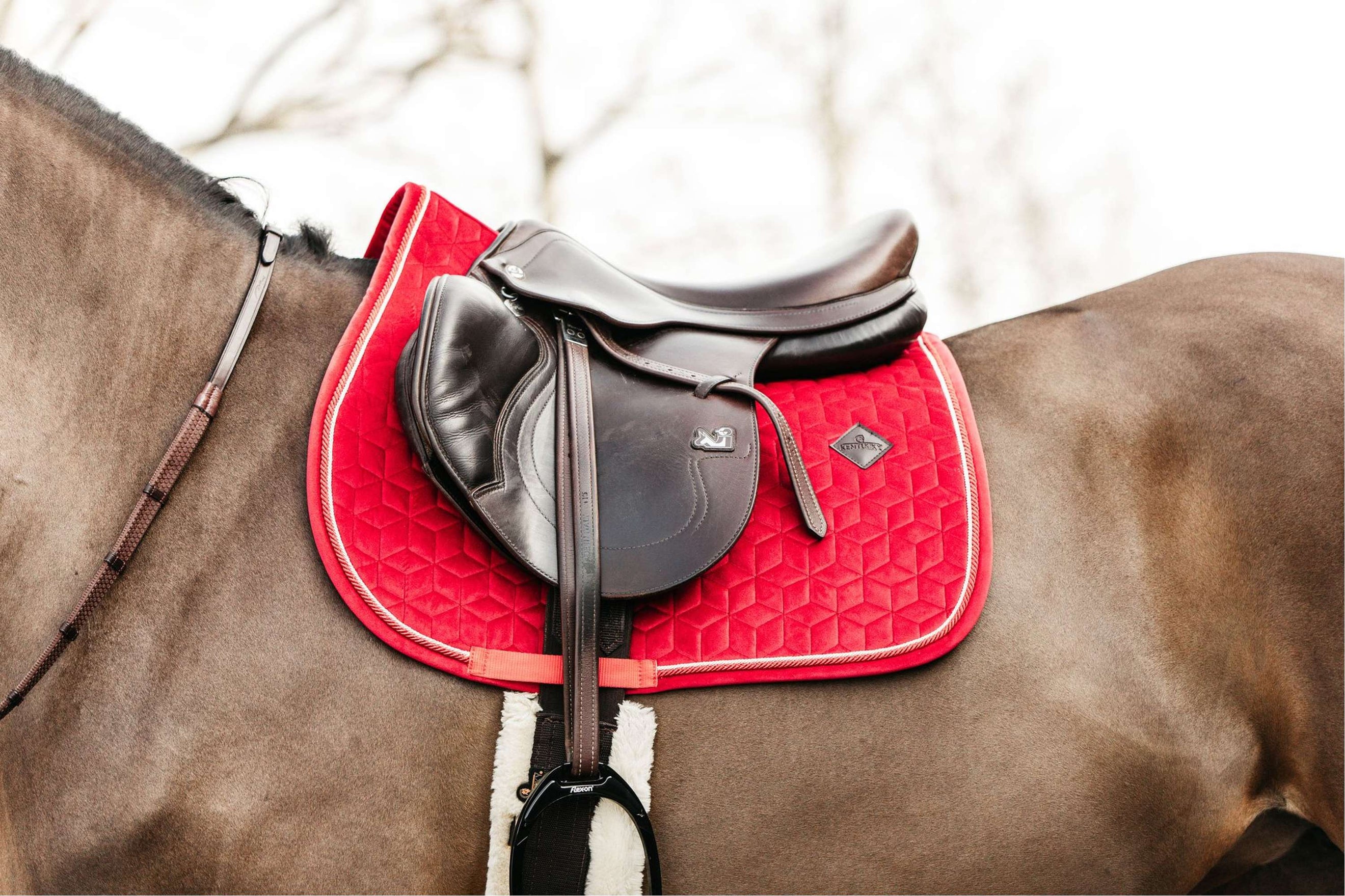 Kentucky Schabracke Velvet Rot Kentucky Schabracke Velvet Rot