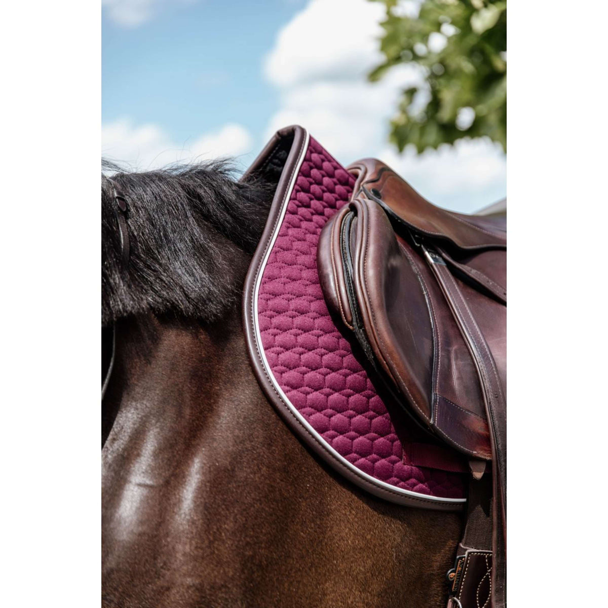 Kentucky Schabracke Springen Classic Leder Bordeaux