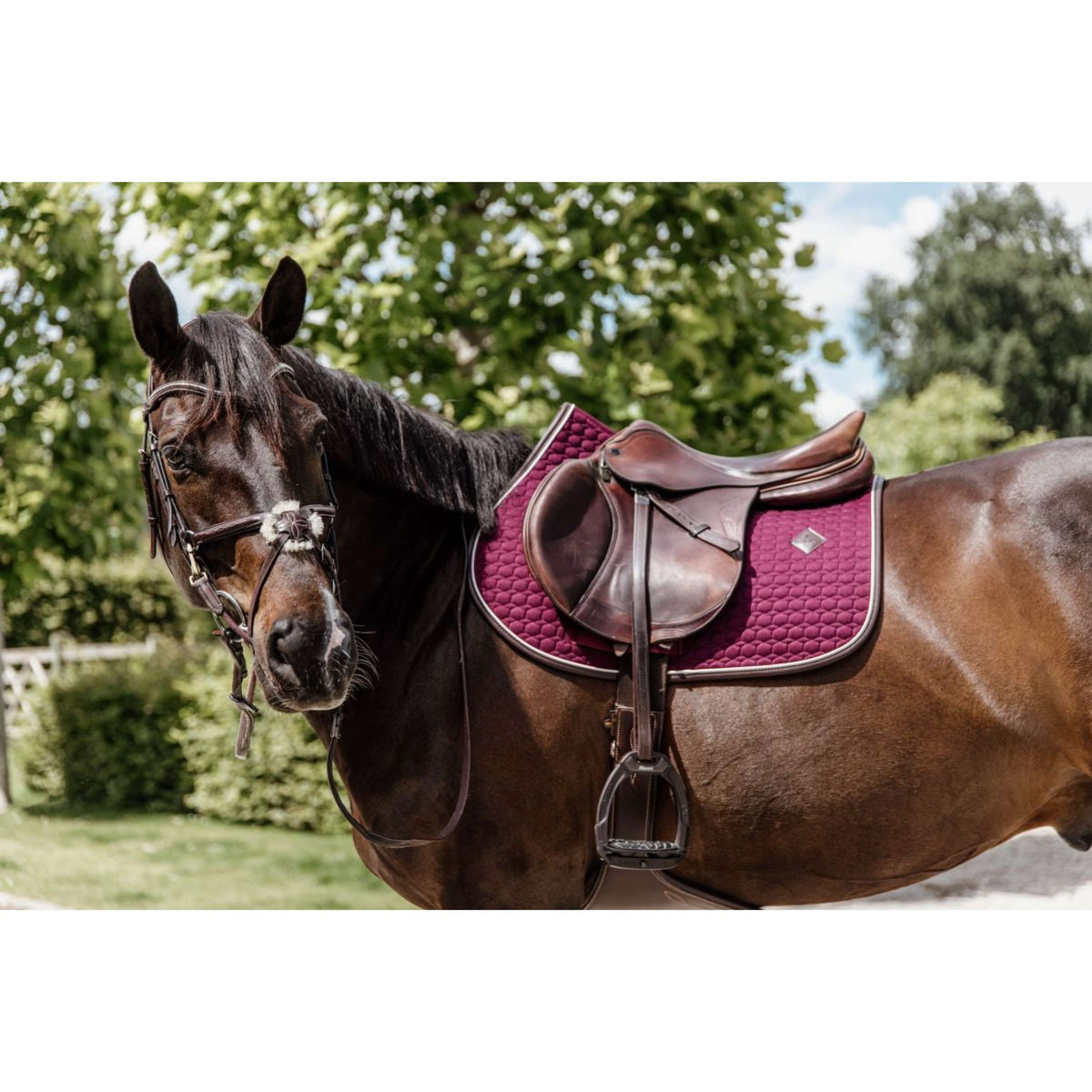 Kentucky Schabracke Springen Classic Leder Bordeaux