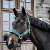 Kentucky Halfter Velvet Smaragdgrün