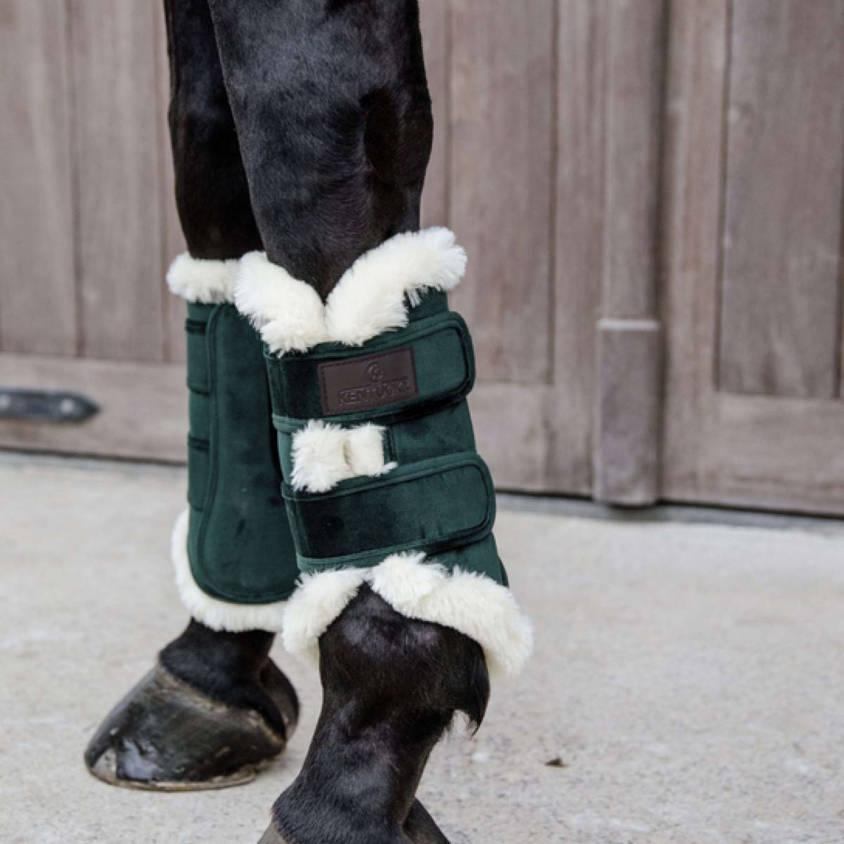 Kentucky Horsewear Beinschutz Pine Green