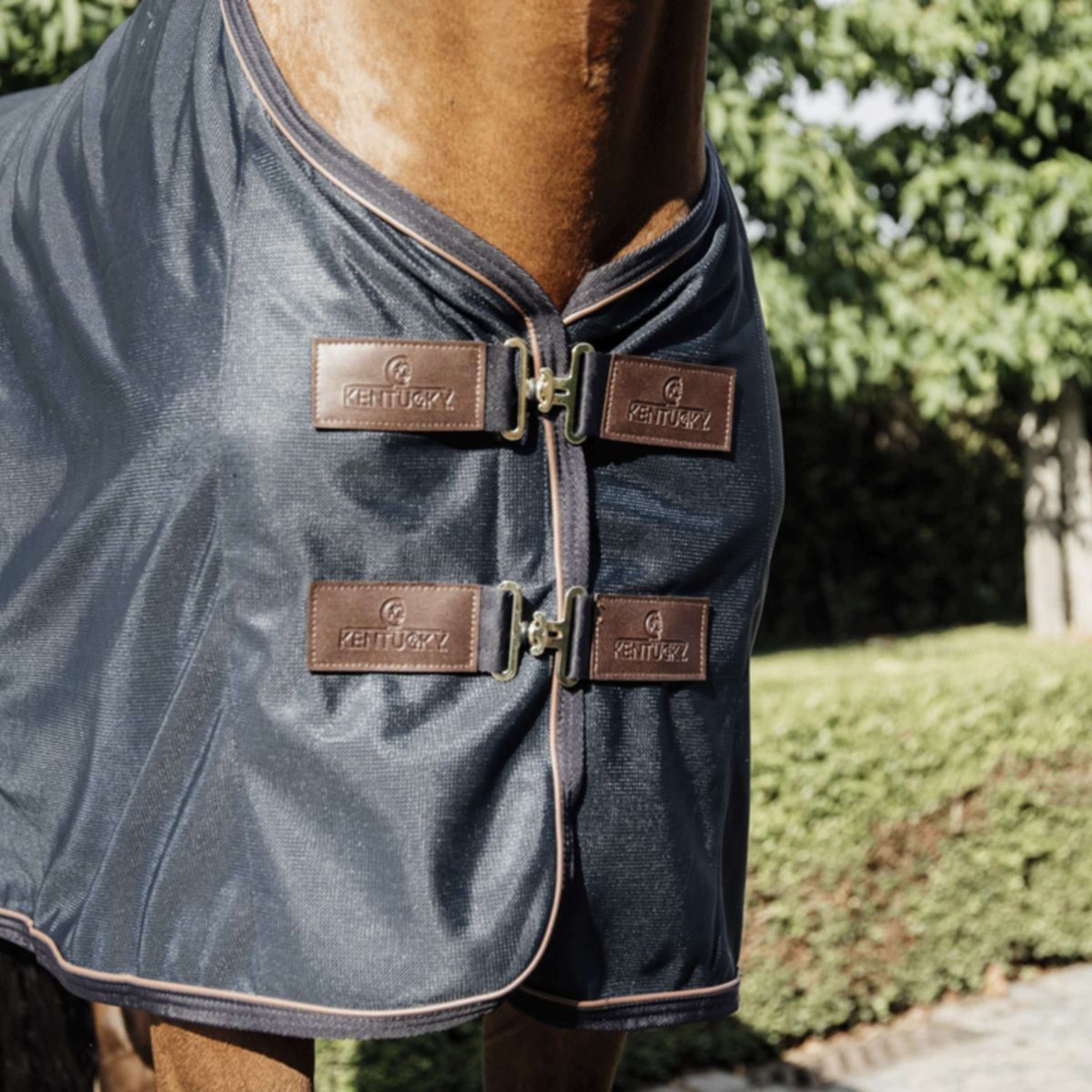 Kentucky Fliegendecke Mesh Navy Kentucky Fliegendecke Mesh Navy