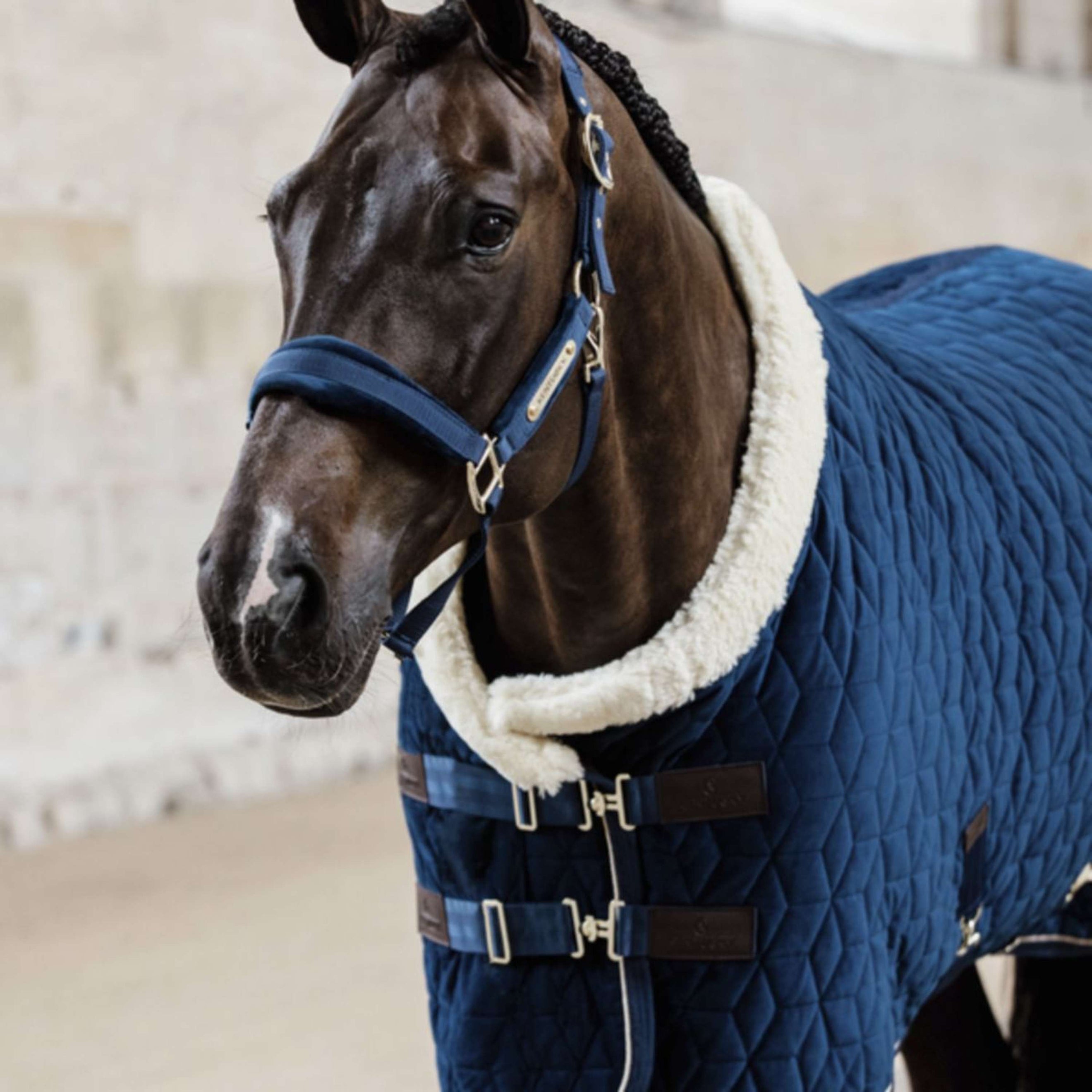 Kentucky Showdecke Velvet 160g Navy Kentucky Showdecke Velvet 160g Navy