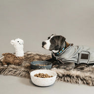 Kentucky Hundejacke Reflective & Water Repellent Silber