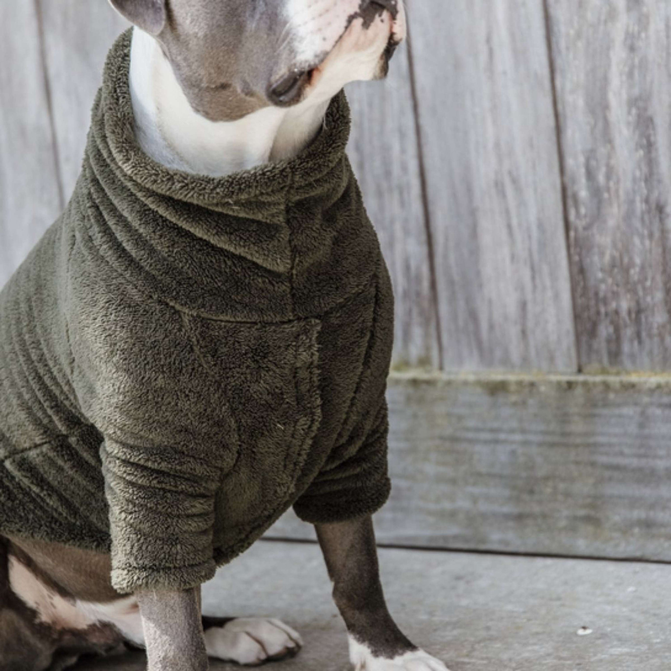 Kentucky Hunde Sweater Teddy Fleece Pine Green Kentucky Hunde Sweater Teddy Fleece Pine Green