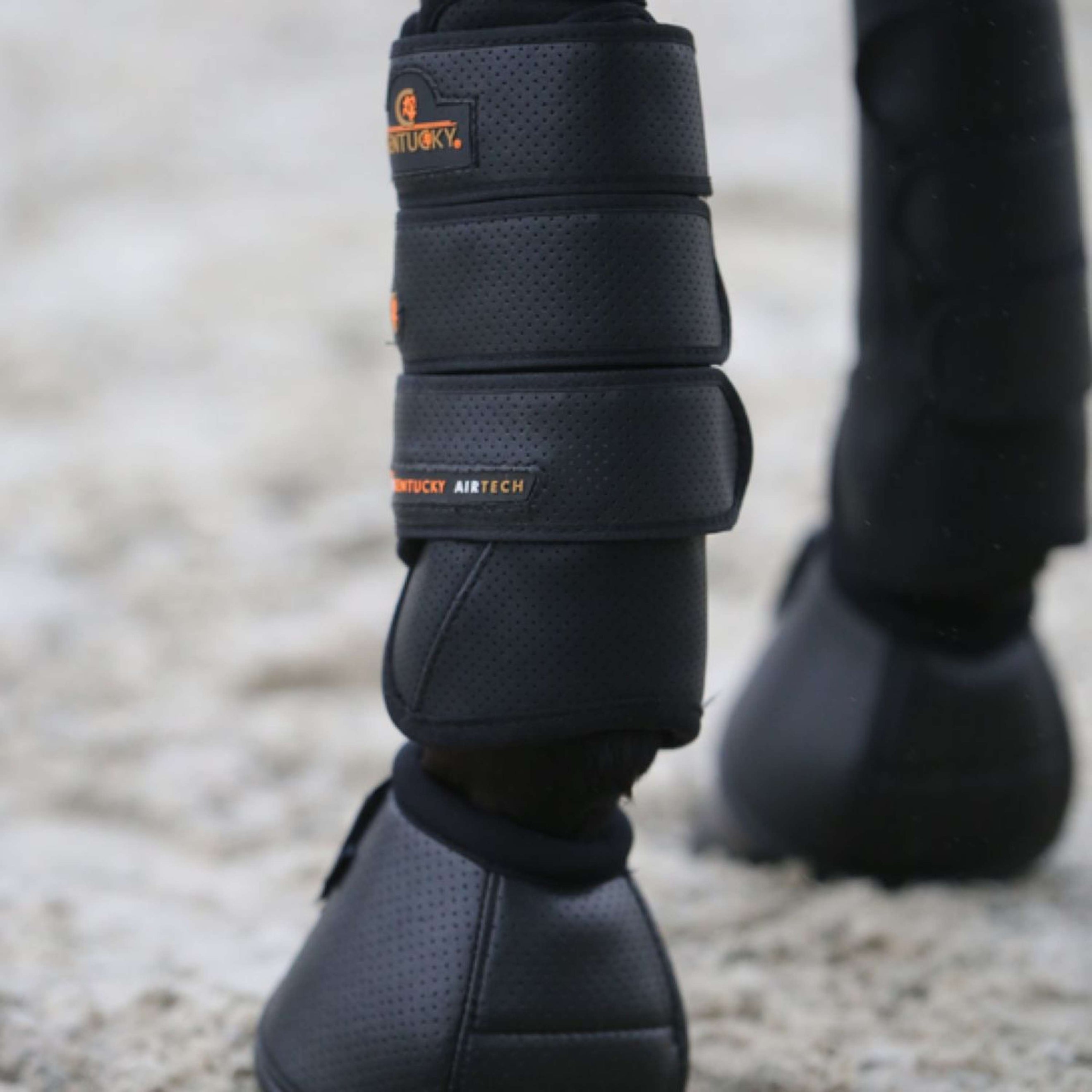 Kentucky Horsewear Air Tech Für Schwarz Kentucky Horsewear Air Tech Für Schwarz