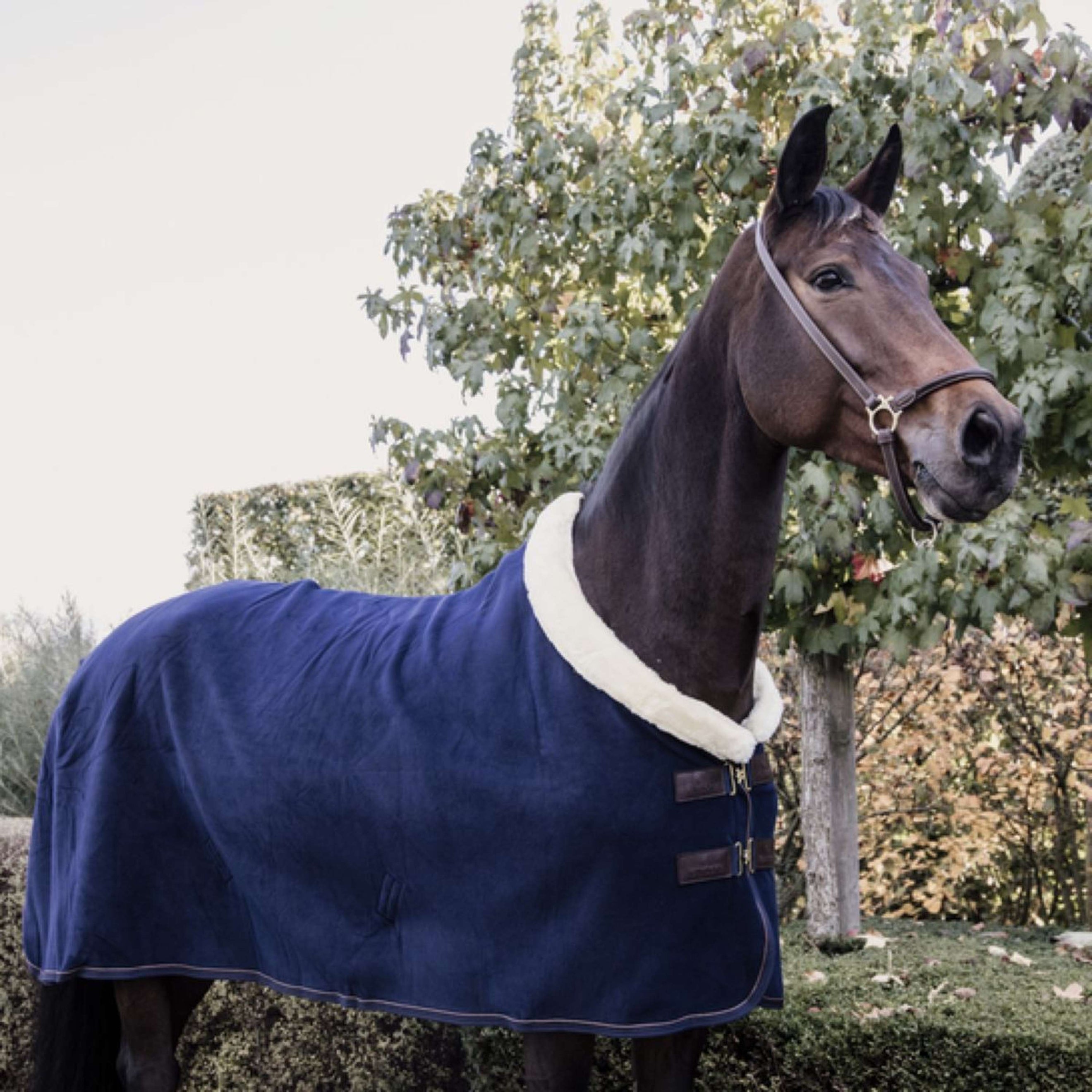Kentucky Abschwitzdecke Show Fleece Heavy Navy Kentucky Abschwitzdecke Show Fleece Heavy Navy