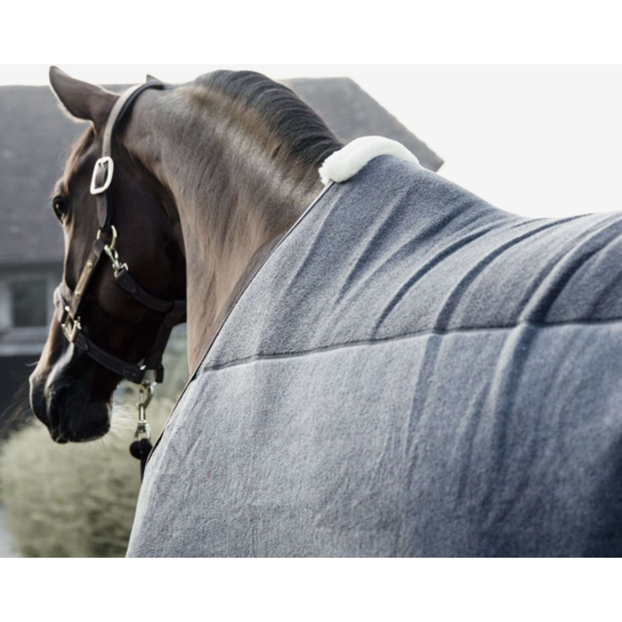 Kentucky Abschwitzdecke Heavy Grau Kentucky Abschwitzdecke Heavy Grau