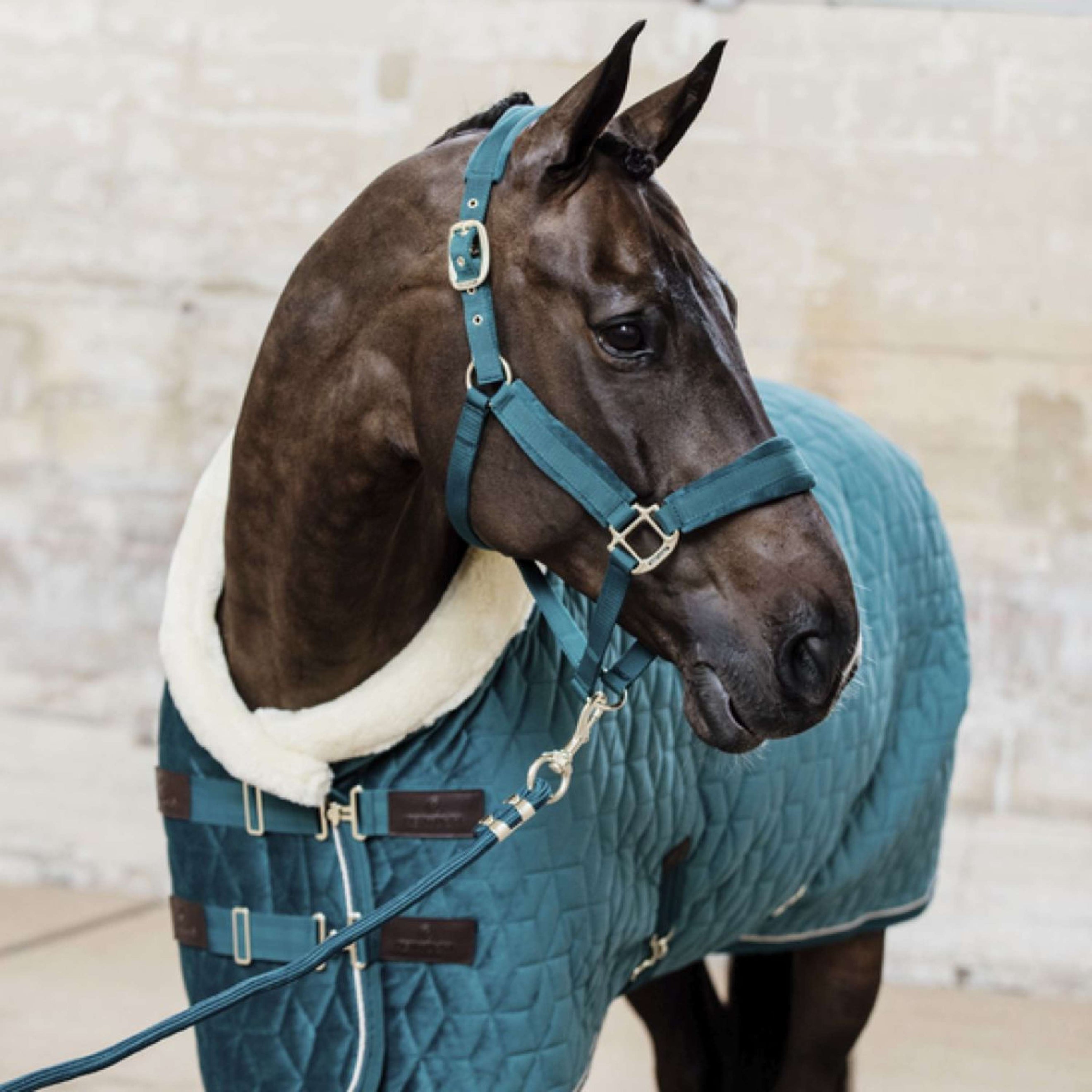 Kentucky Führstrick Basic Smaragdgrün Kentucky Führstrick Basic Smaragdgrün