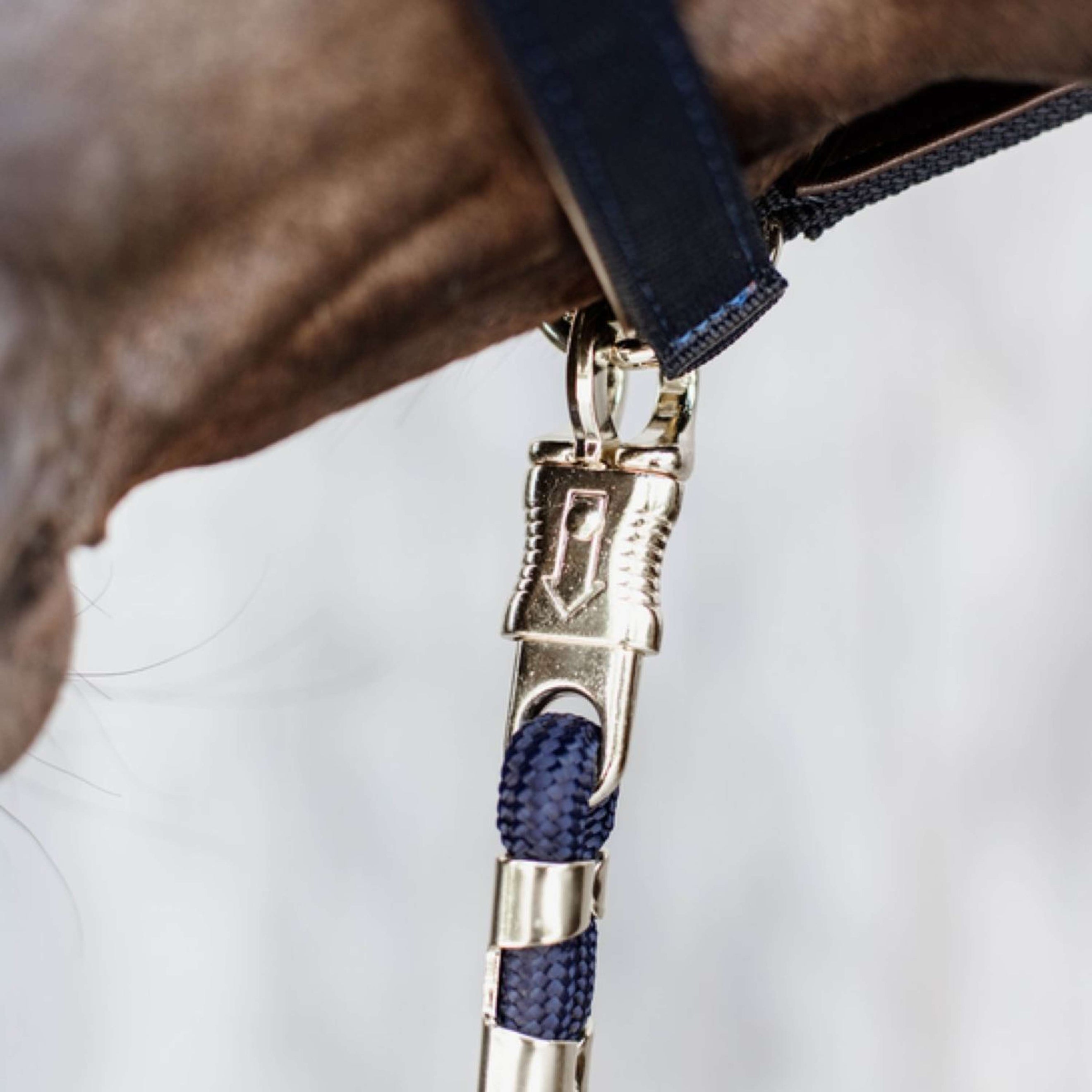 Kentucky Führstrick Panikhaken Navy Kentucky Führstrick Panikhaken Navy