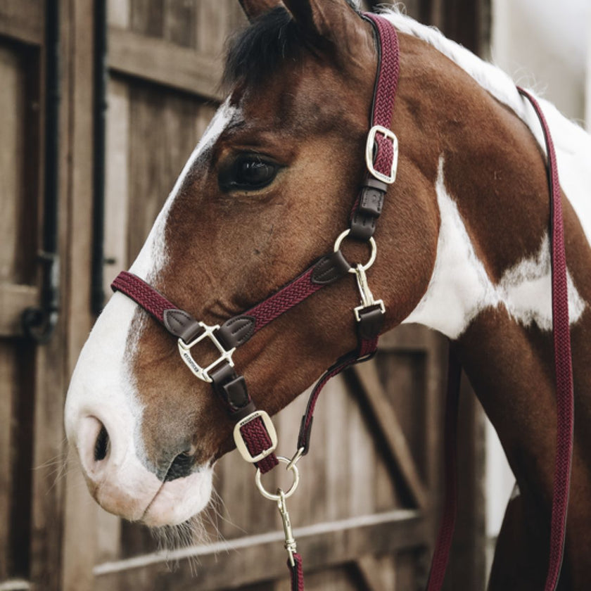 Kentucky Führstrick Plaited Nylon Bordeaux