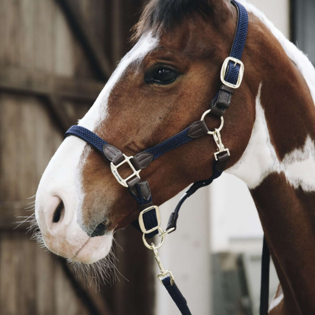 Kentucky Halfter Geflochten Nylon Navy