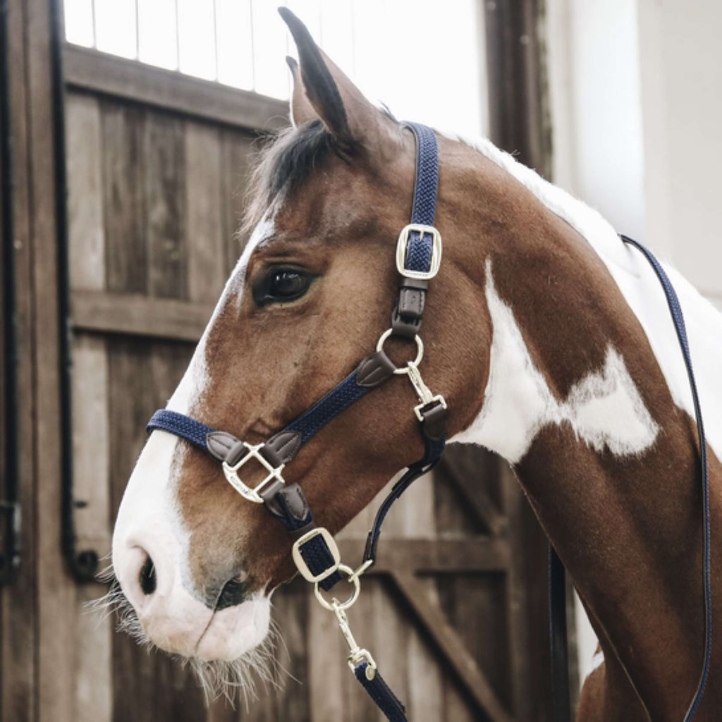 Kentucky Halfter Geflochten Nylon Navy