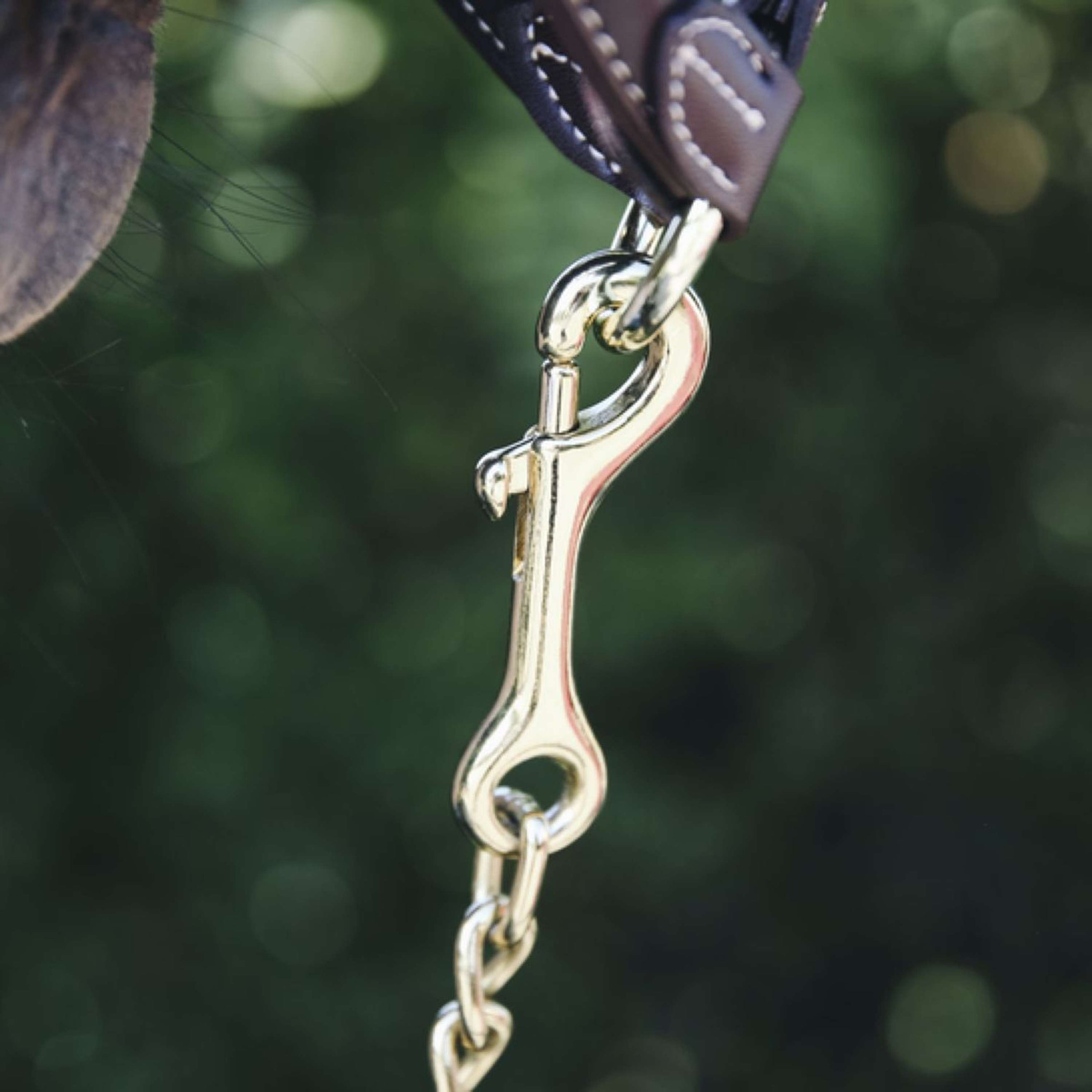 Kentucky Hengst Kette Kentucky Hengst Kette