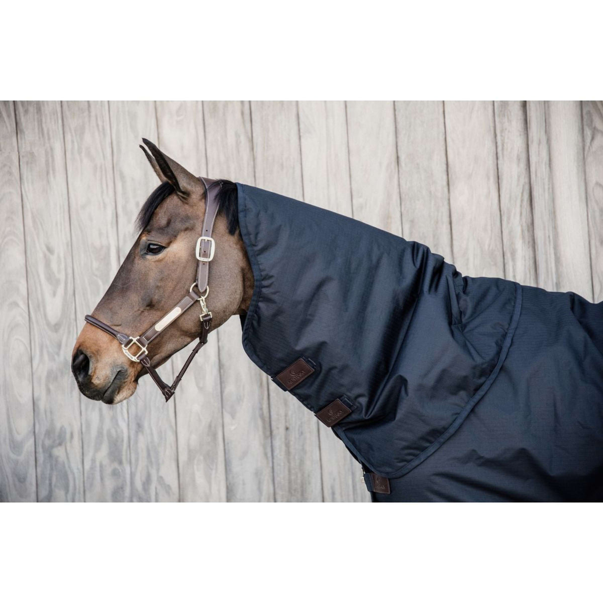 Kentucky Halsstück All Weather Waterproof Classic 0g Navy