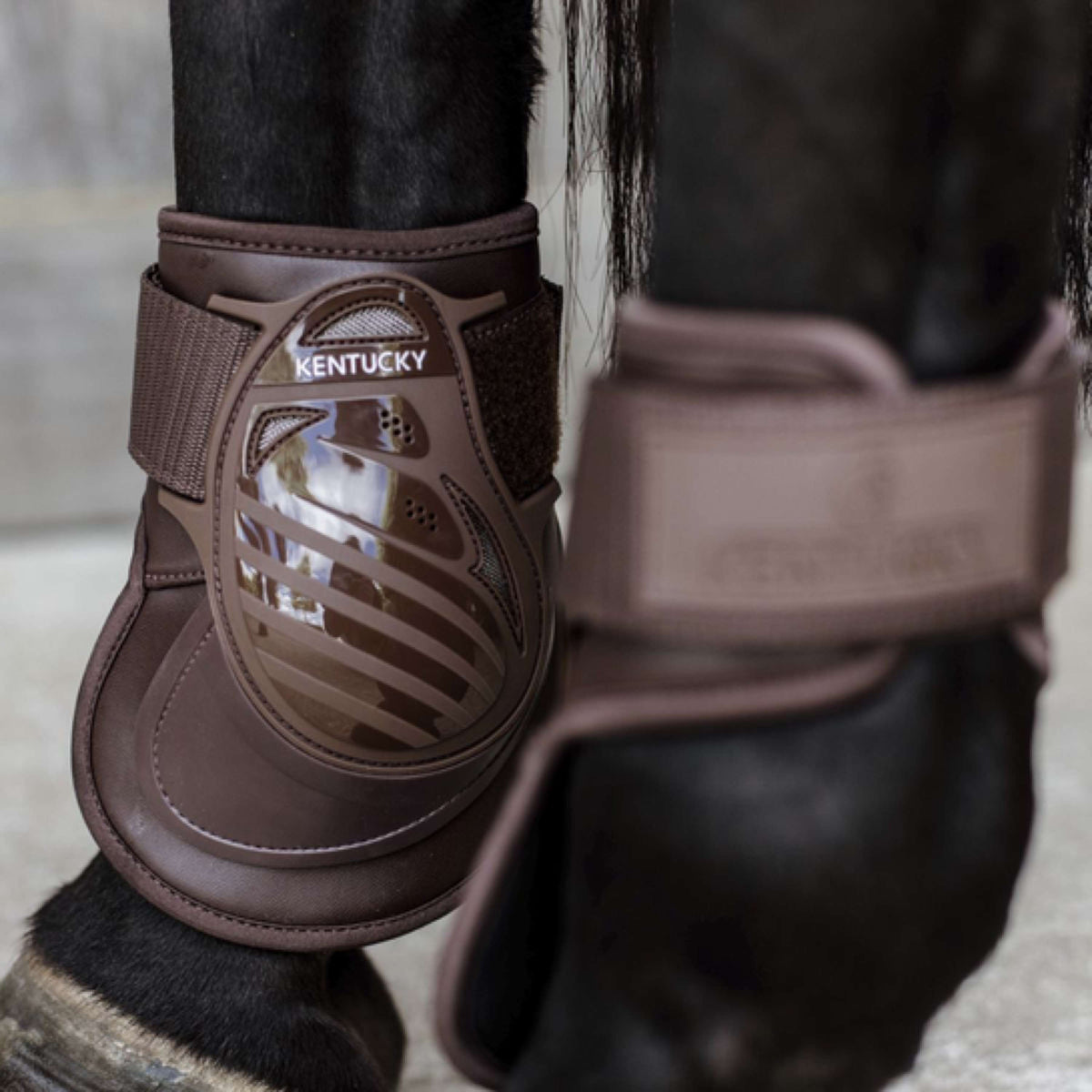 Kentucky Horsewear Streichkappen Deep Braun